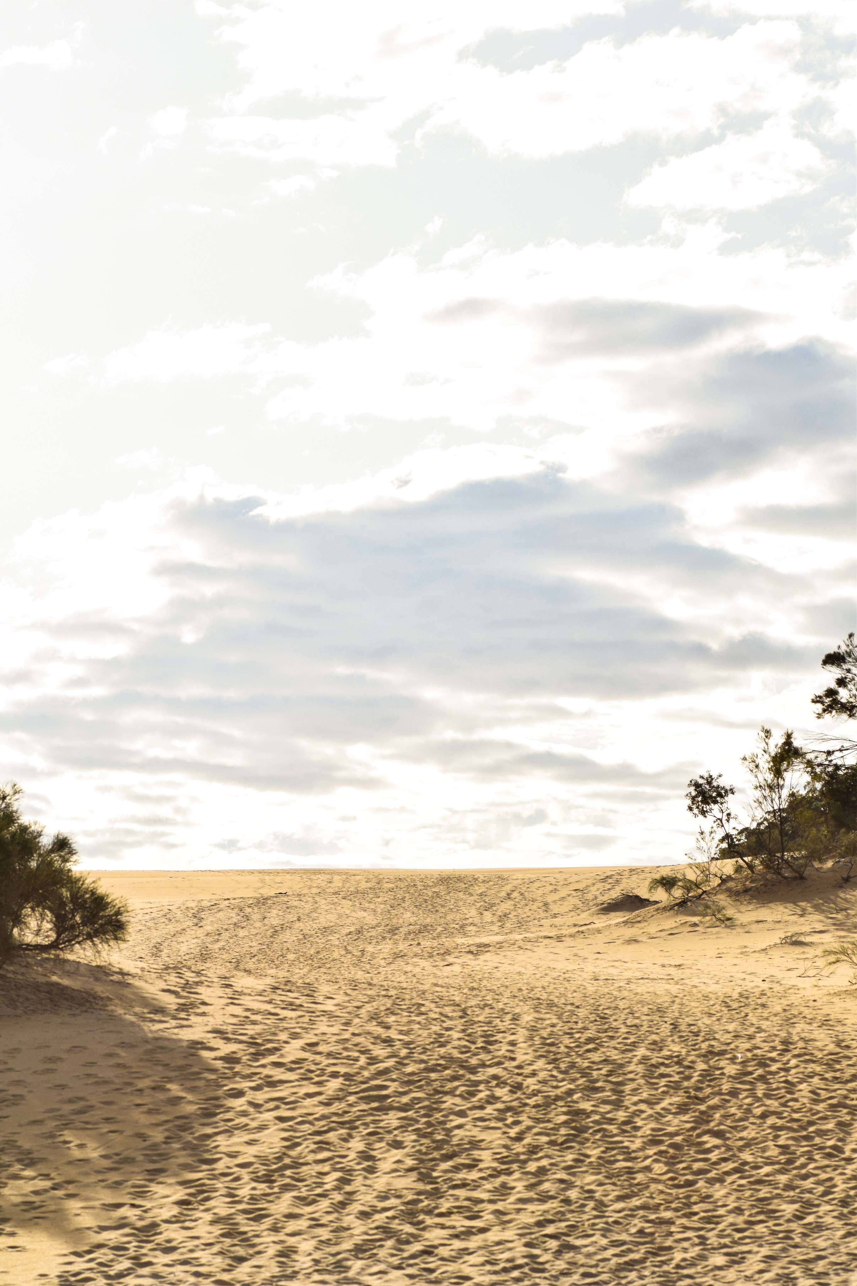 Sand Dunes - Fraser Island