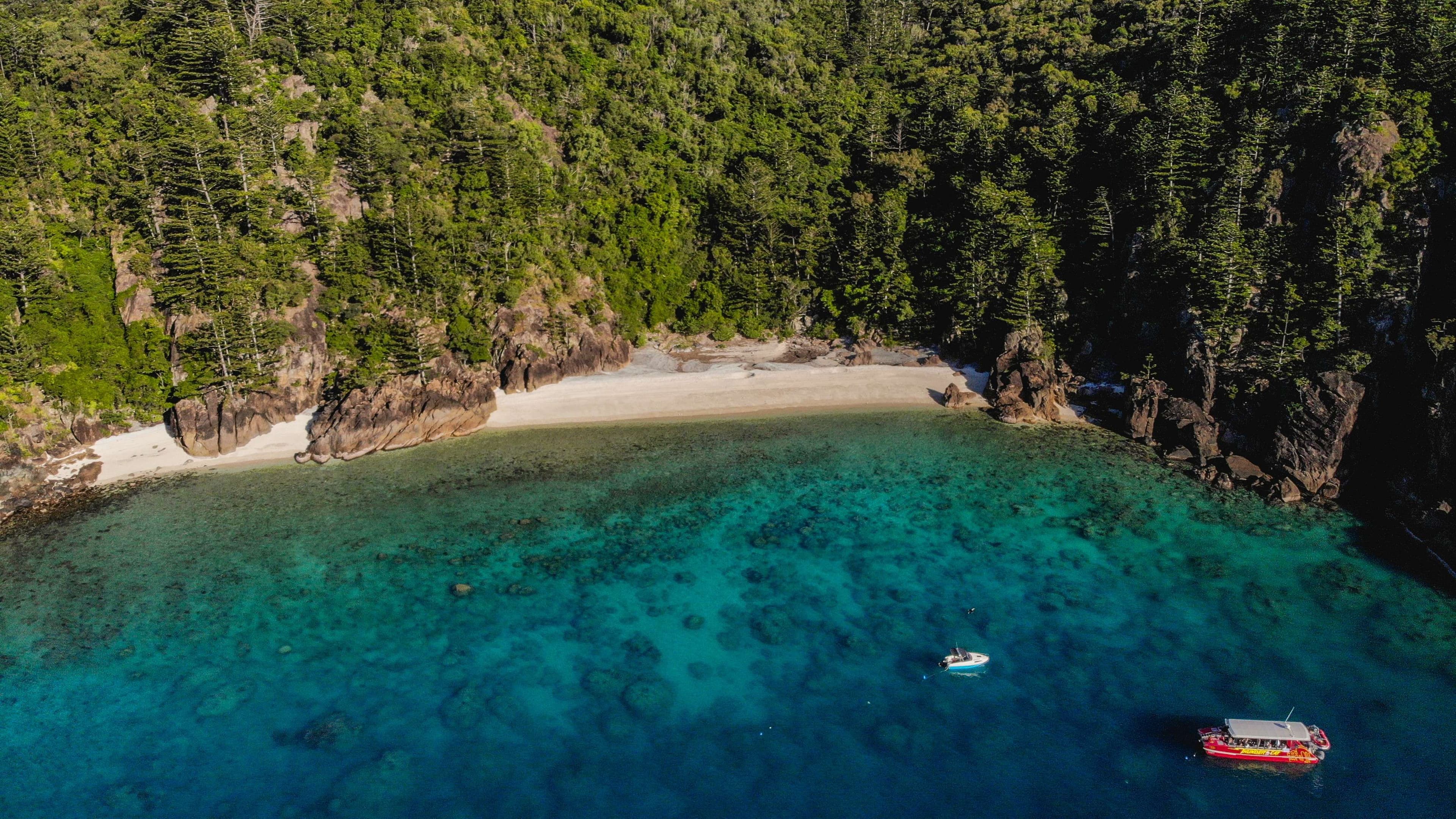 Coral Reef from the sky