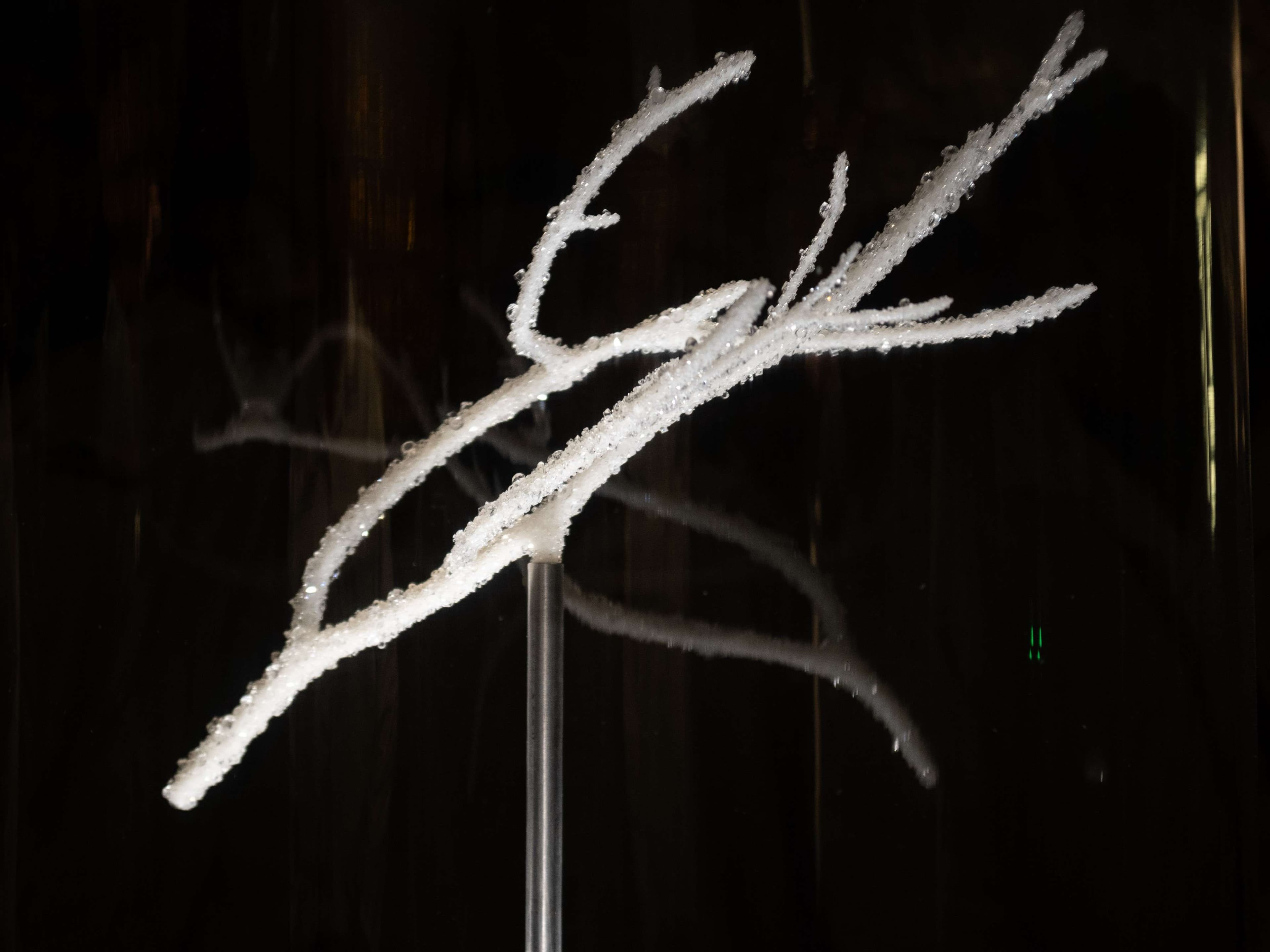 There is a white object with a branch on it in the dark.
