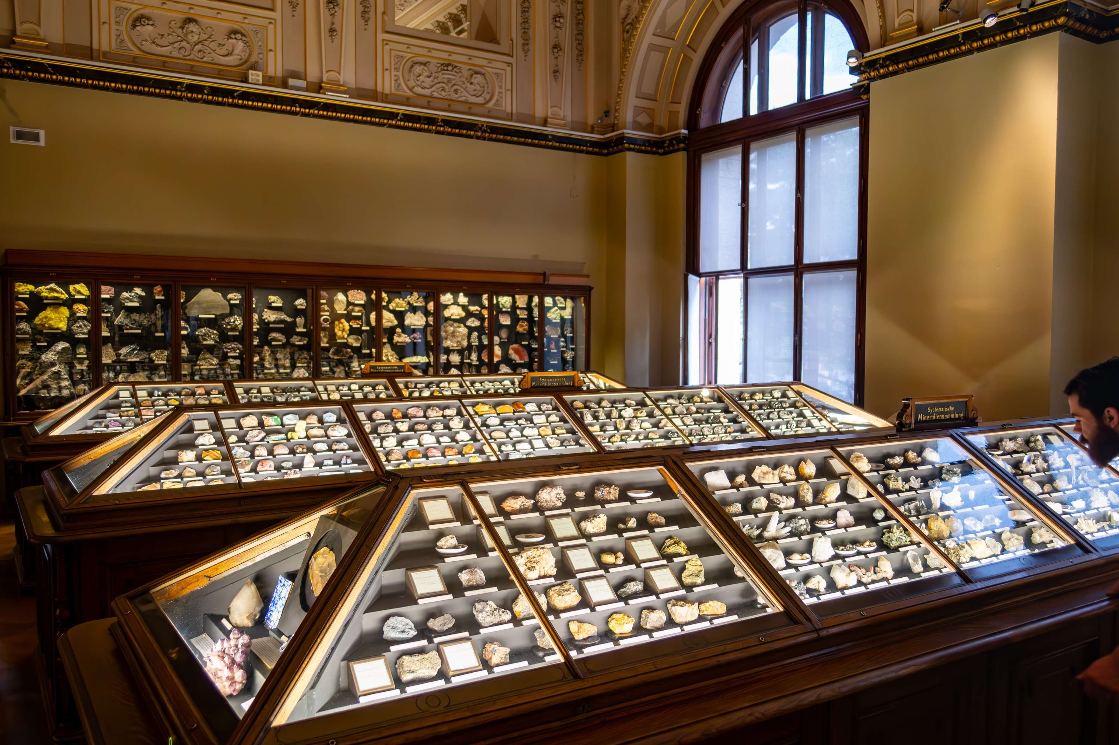 There are many different kinds of jewels in the display case.