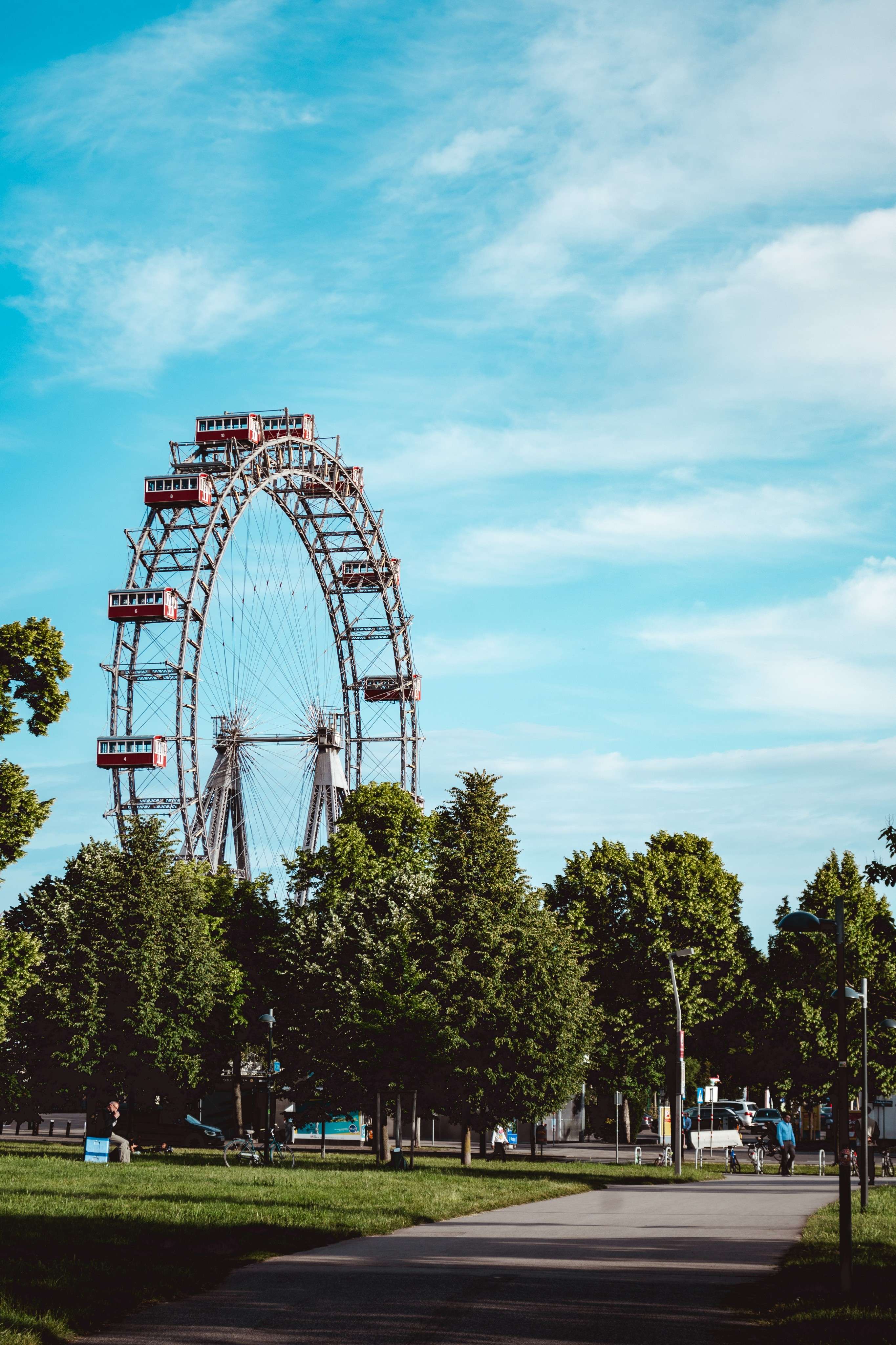 There is a ferris wheel in the middle of a park.