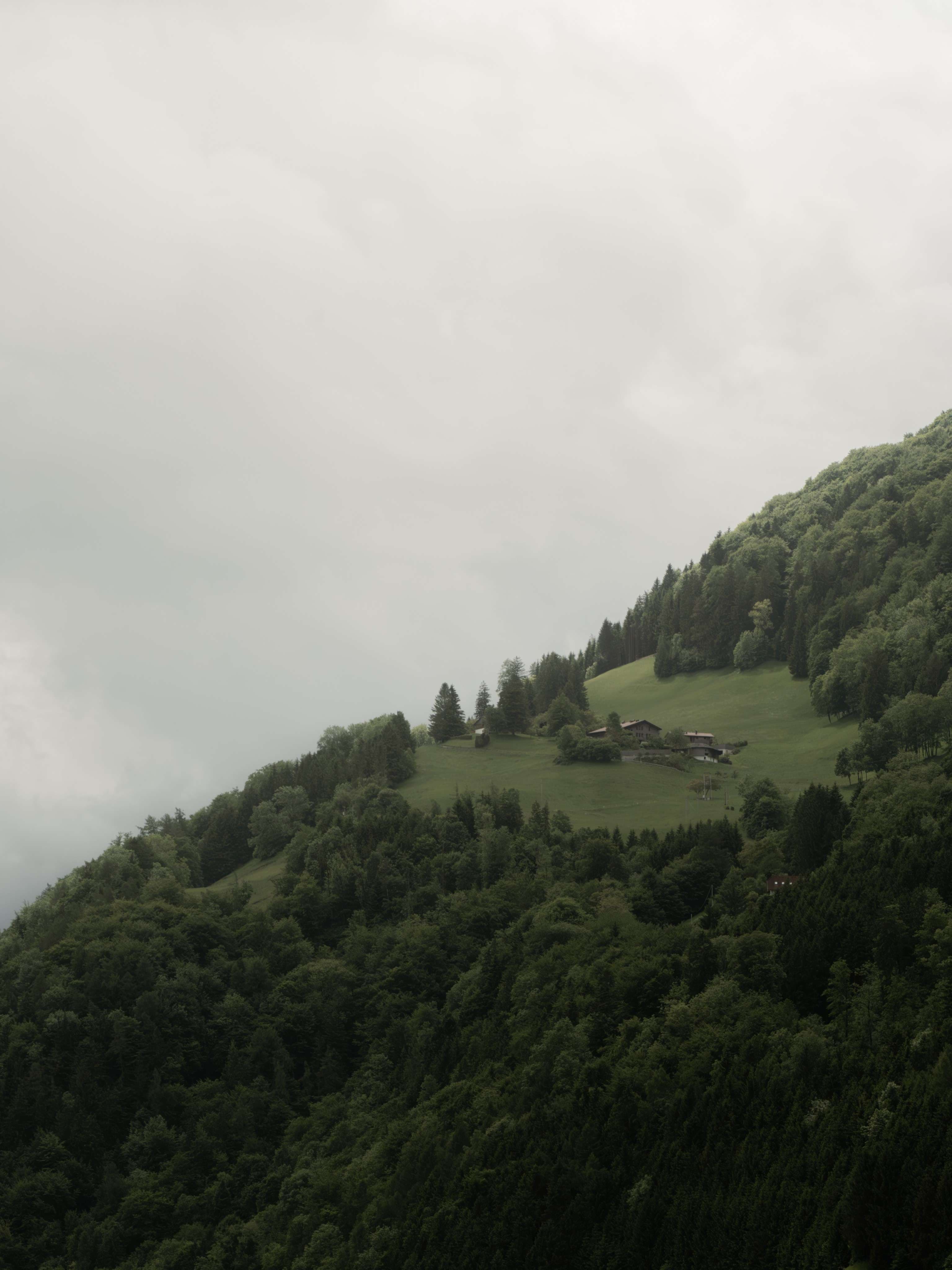 There is a small house on a hill with a lot of trees.
