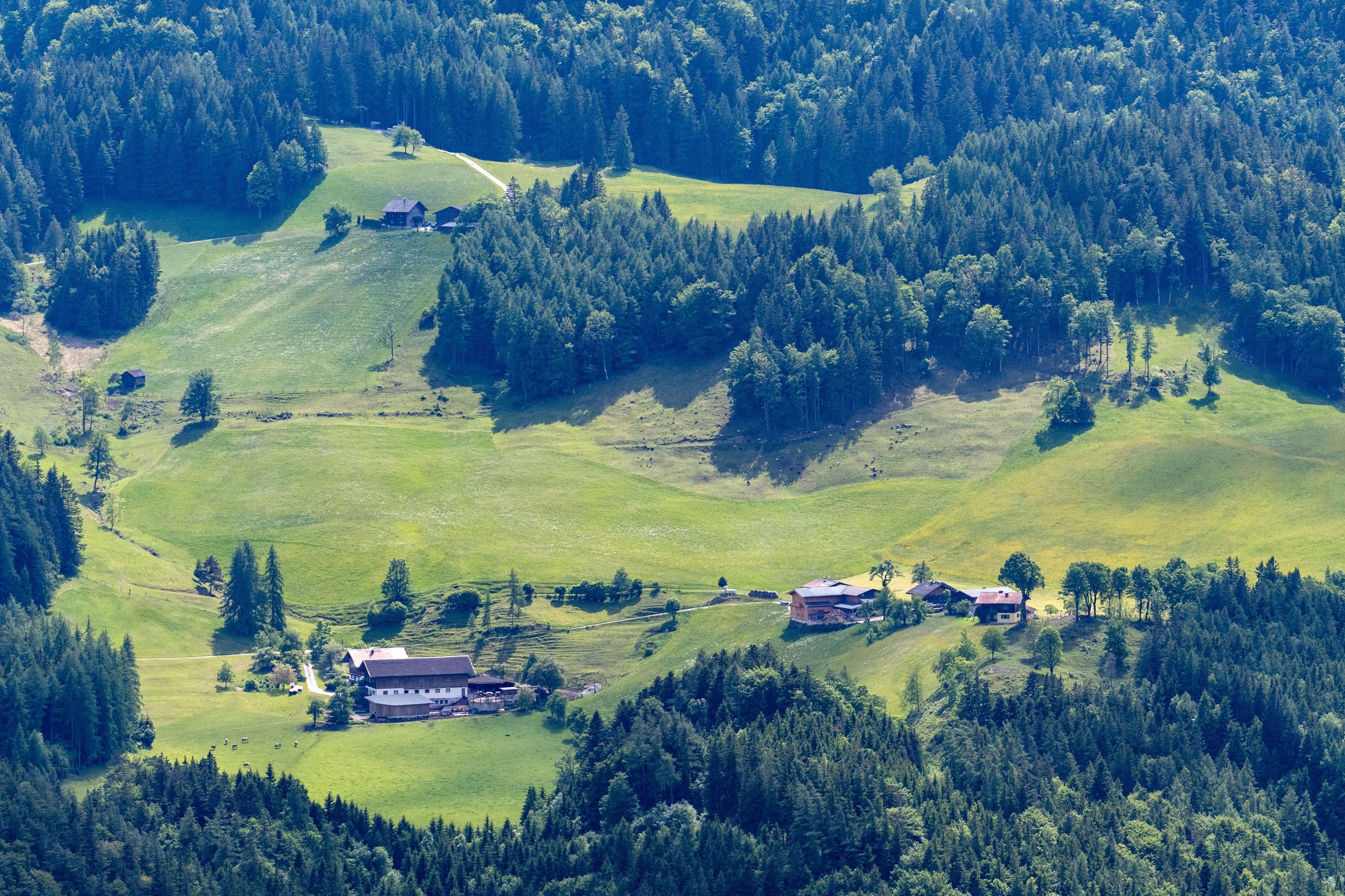 There are many houses in the middle of a green field.
