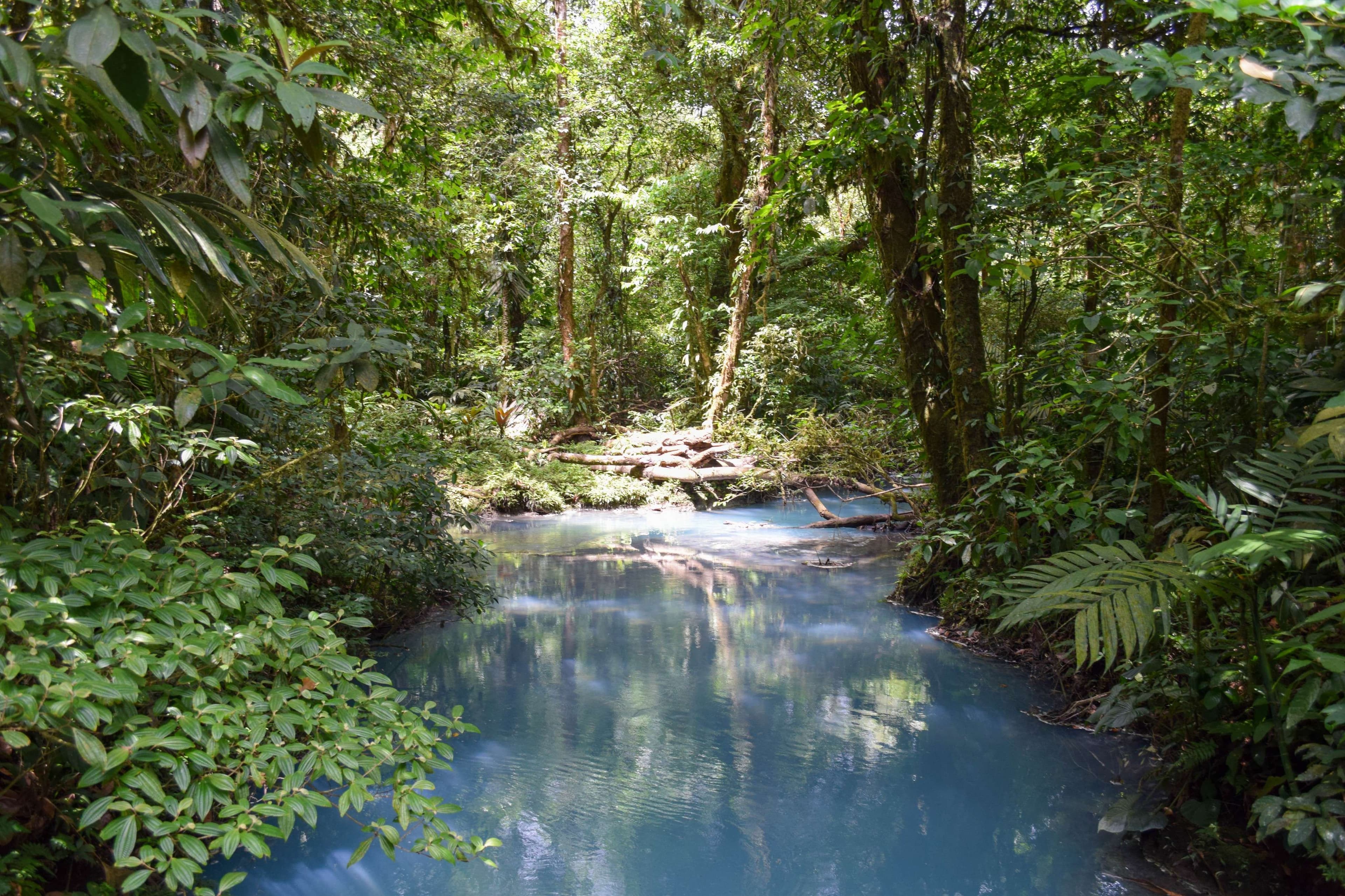 Rio Celeste