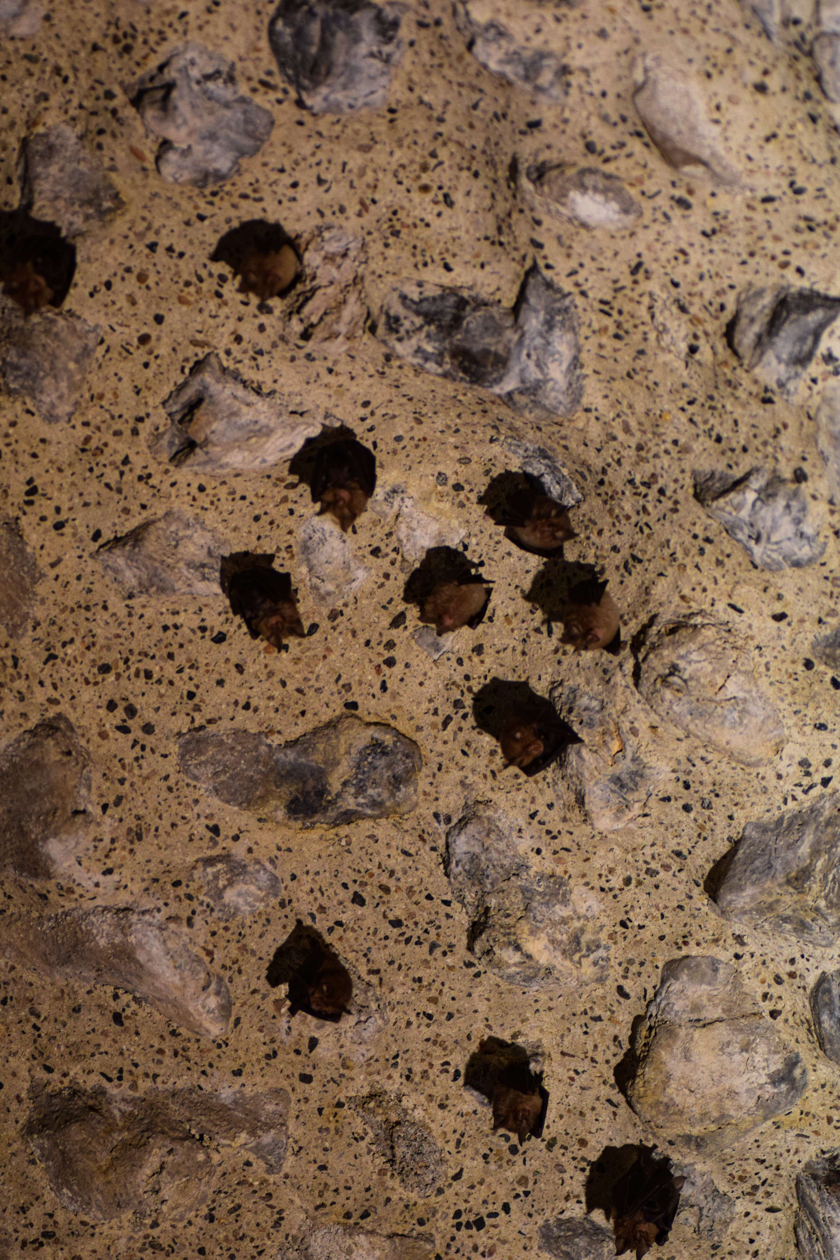 There are many small rocks on the ground with holes in them.