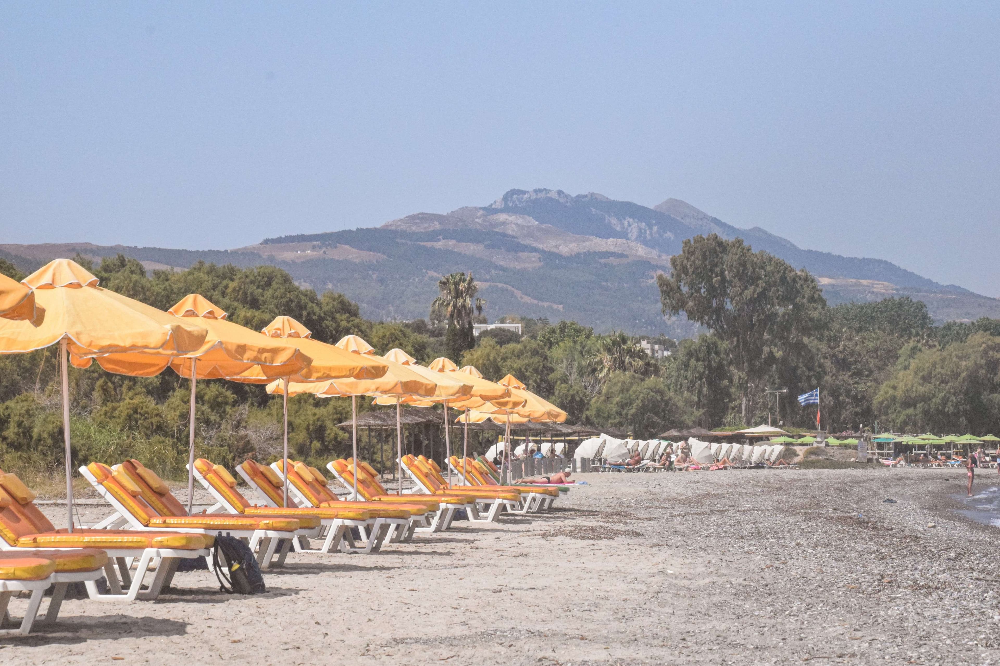 There are many chairs and umbrellas on the beach near the water.