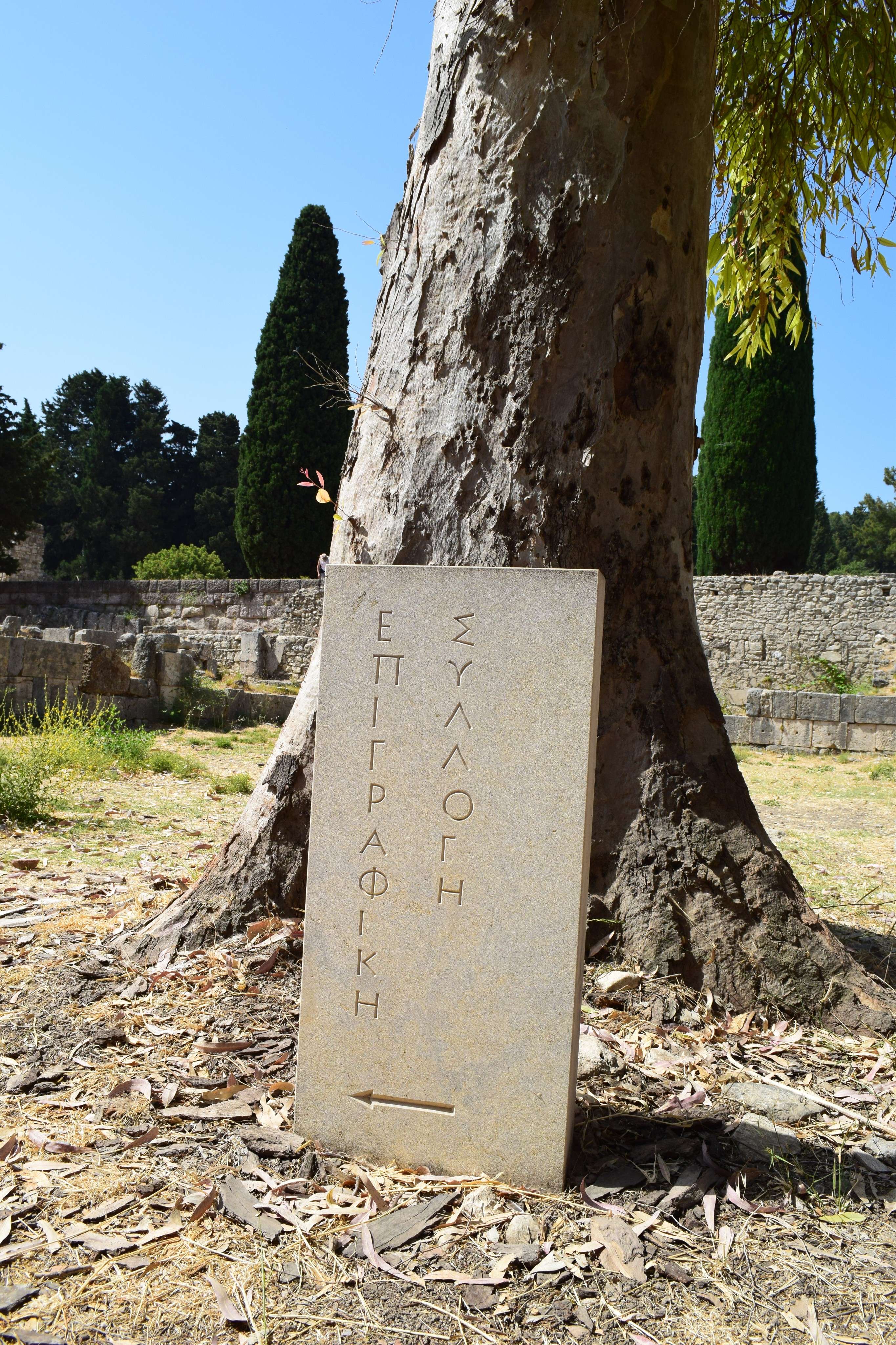 There is a sign that is on the ground near a tree.