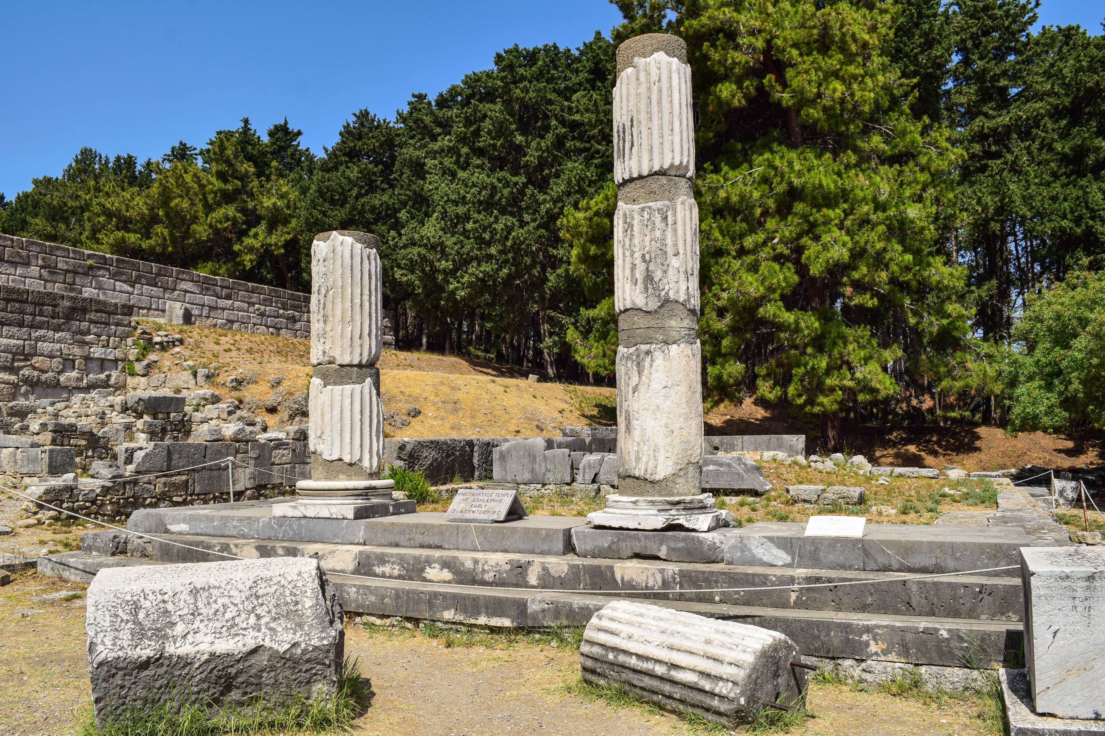 There are many stone pillars in the middle of a field.