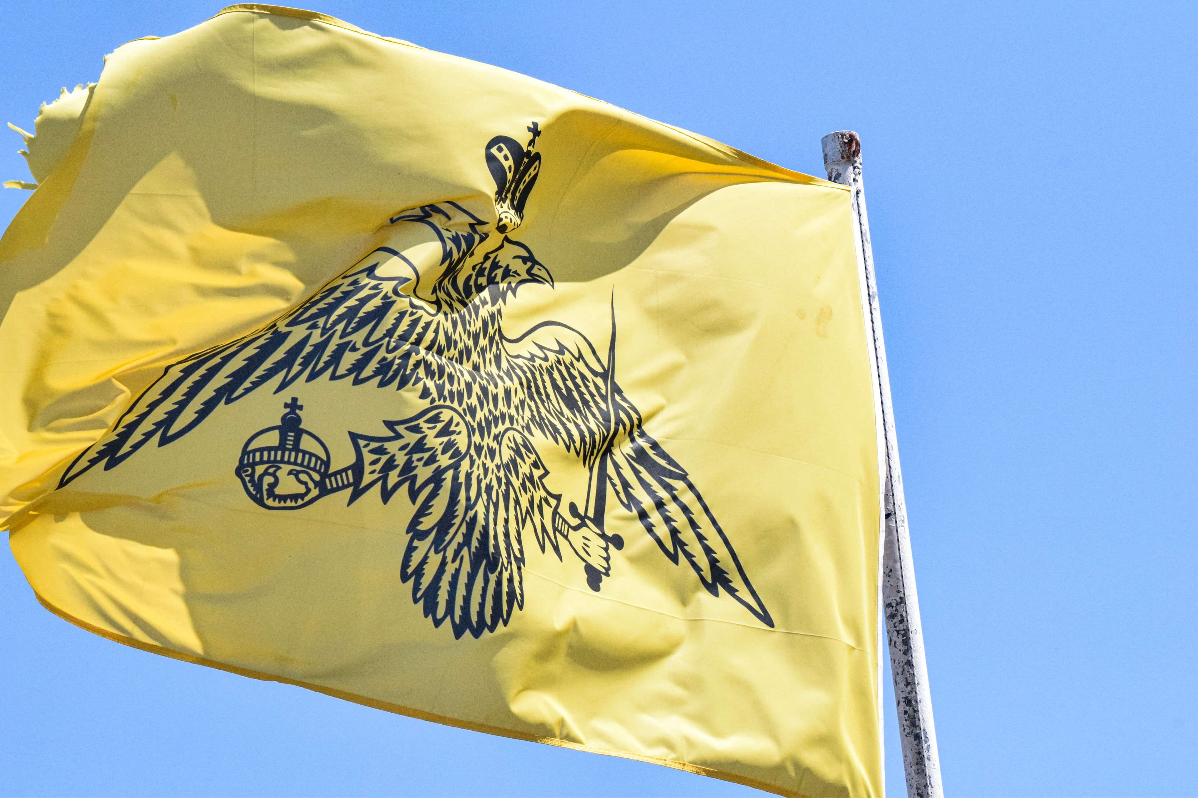 Yellow flag with a black eagle on it flying in the sky.