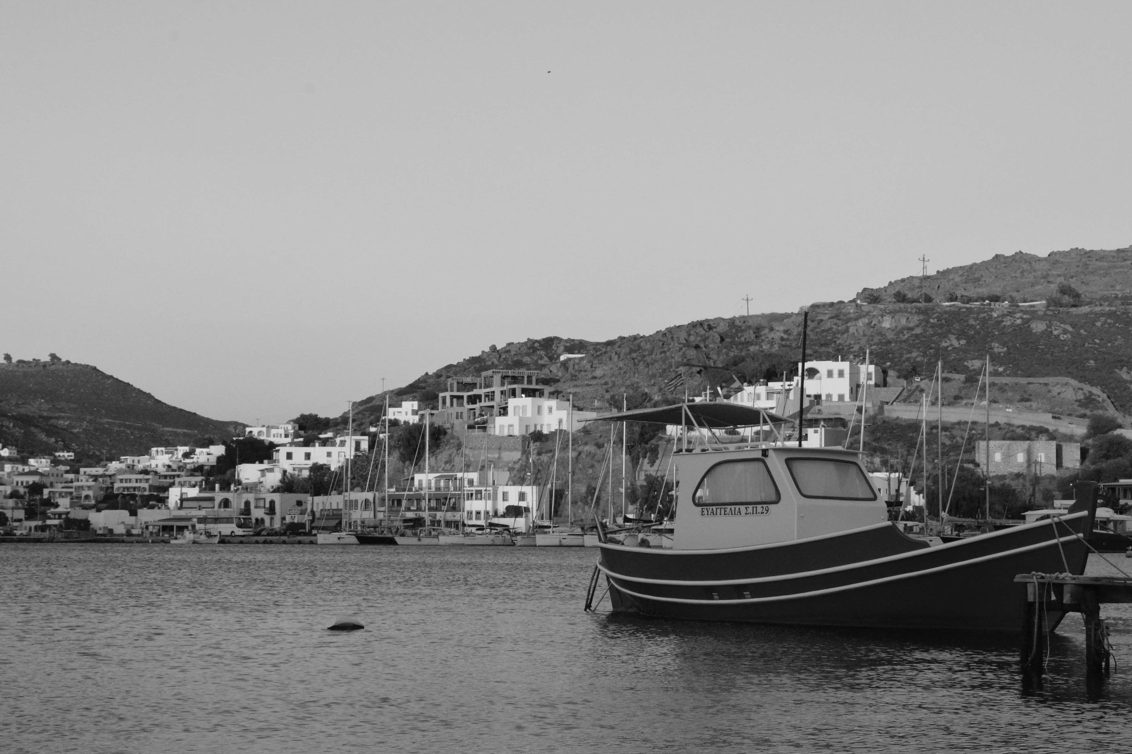 There are three cats that are laying down on the ground.