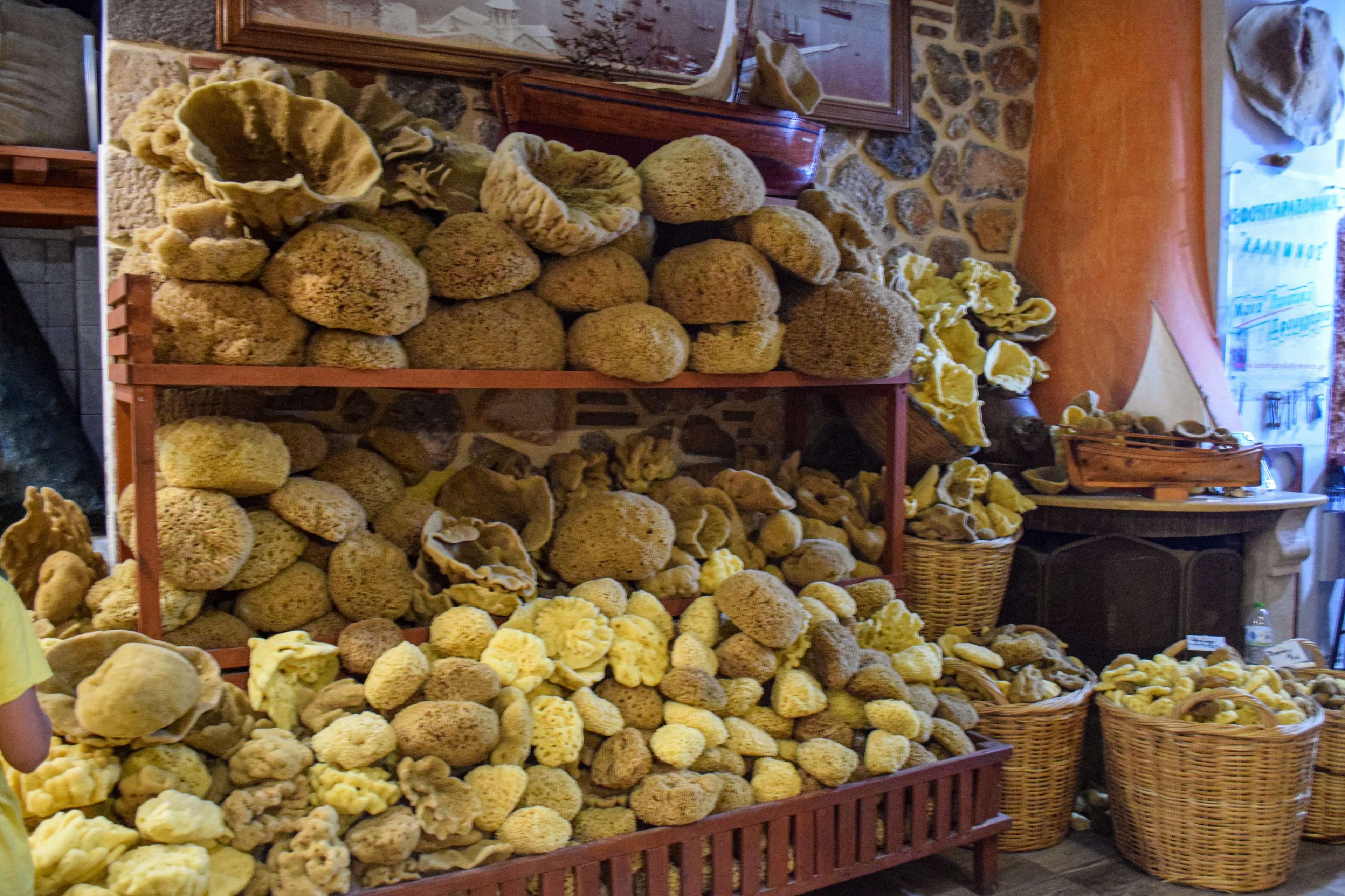 There are many shelves of potatoes in a room with wooden crates.