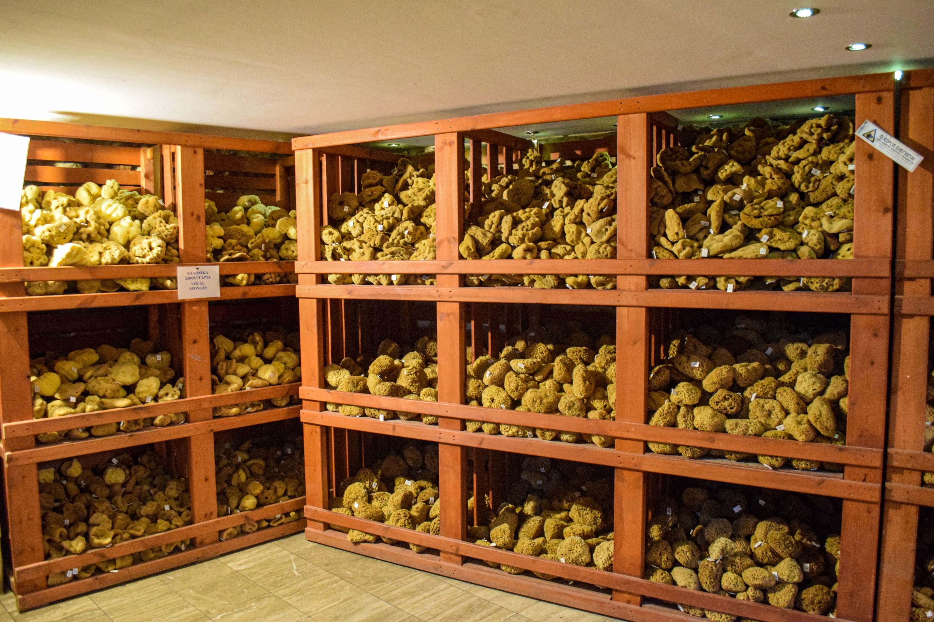 There are many teddy bears on display in a room.