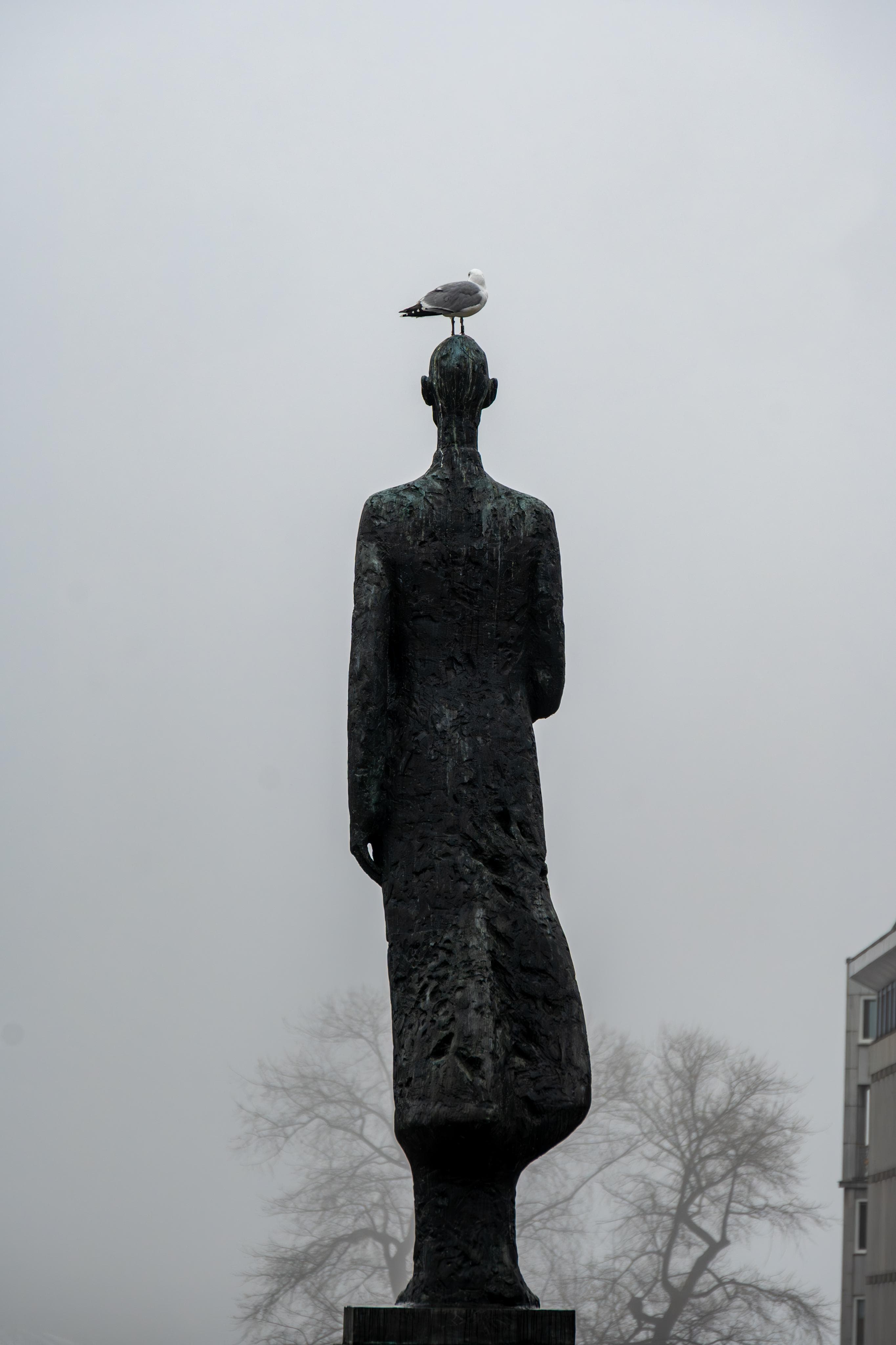 Photo 42