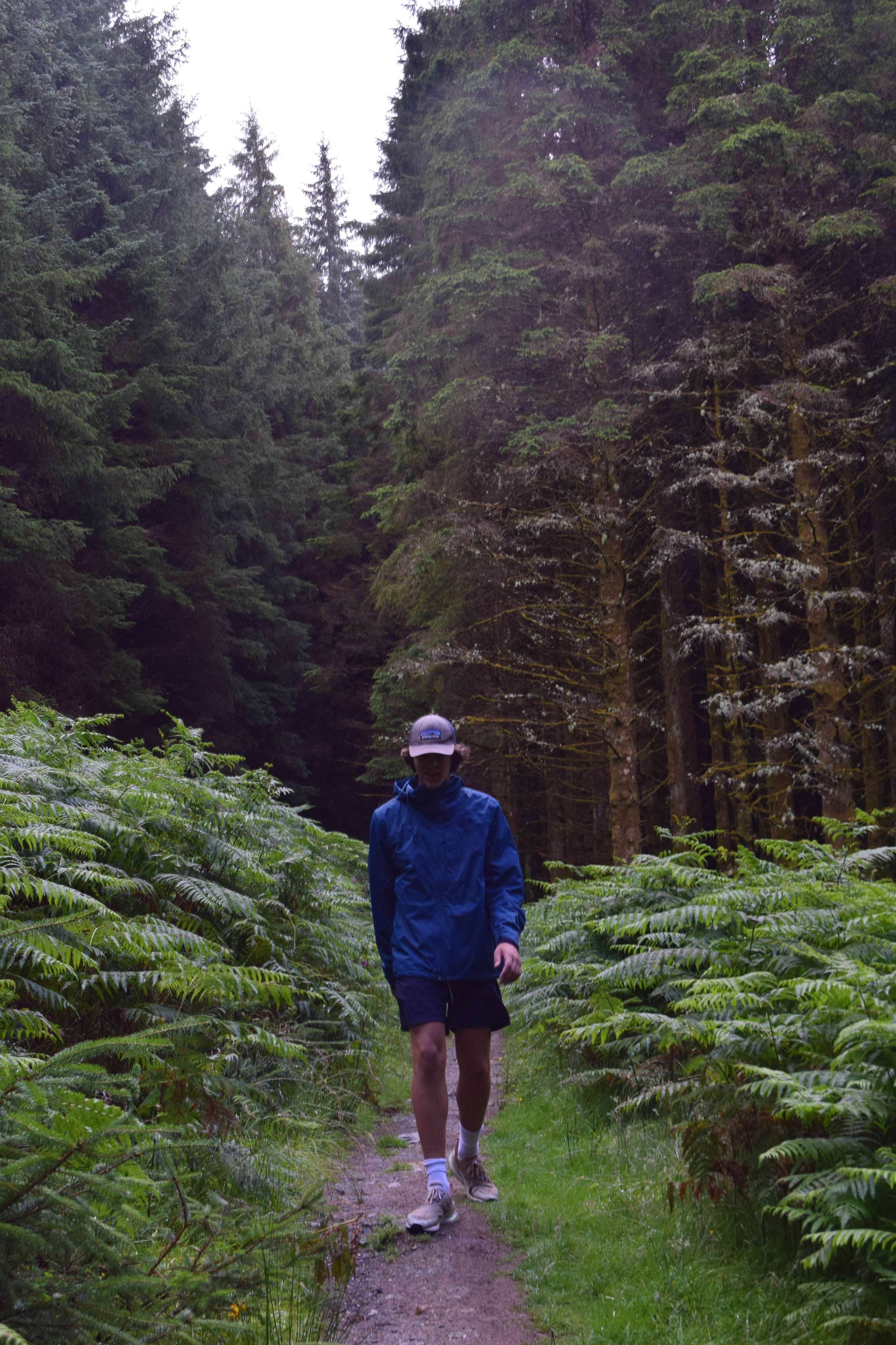 DescriptionComingSoon