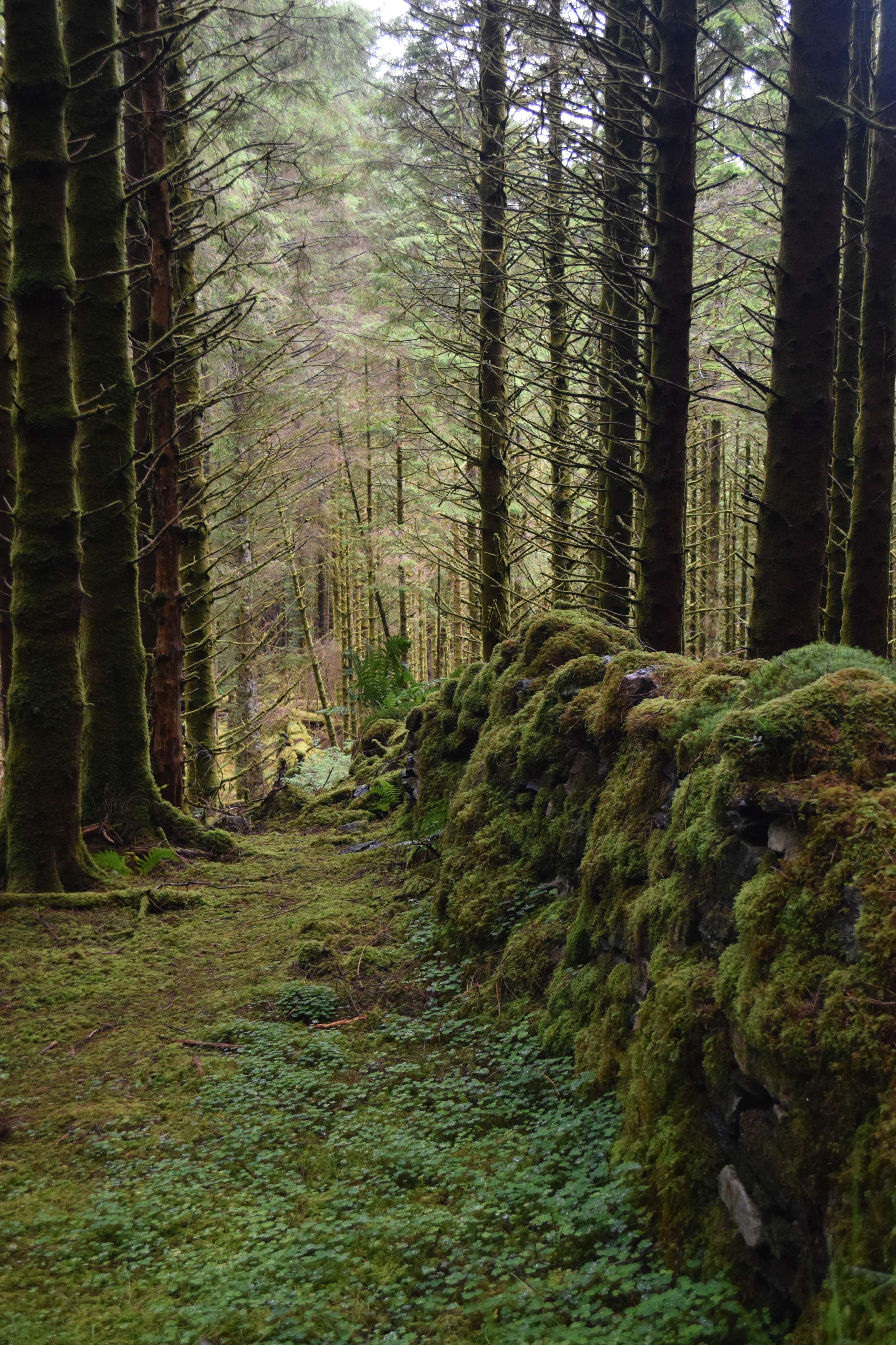 DescriptionComingSoon