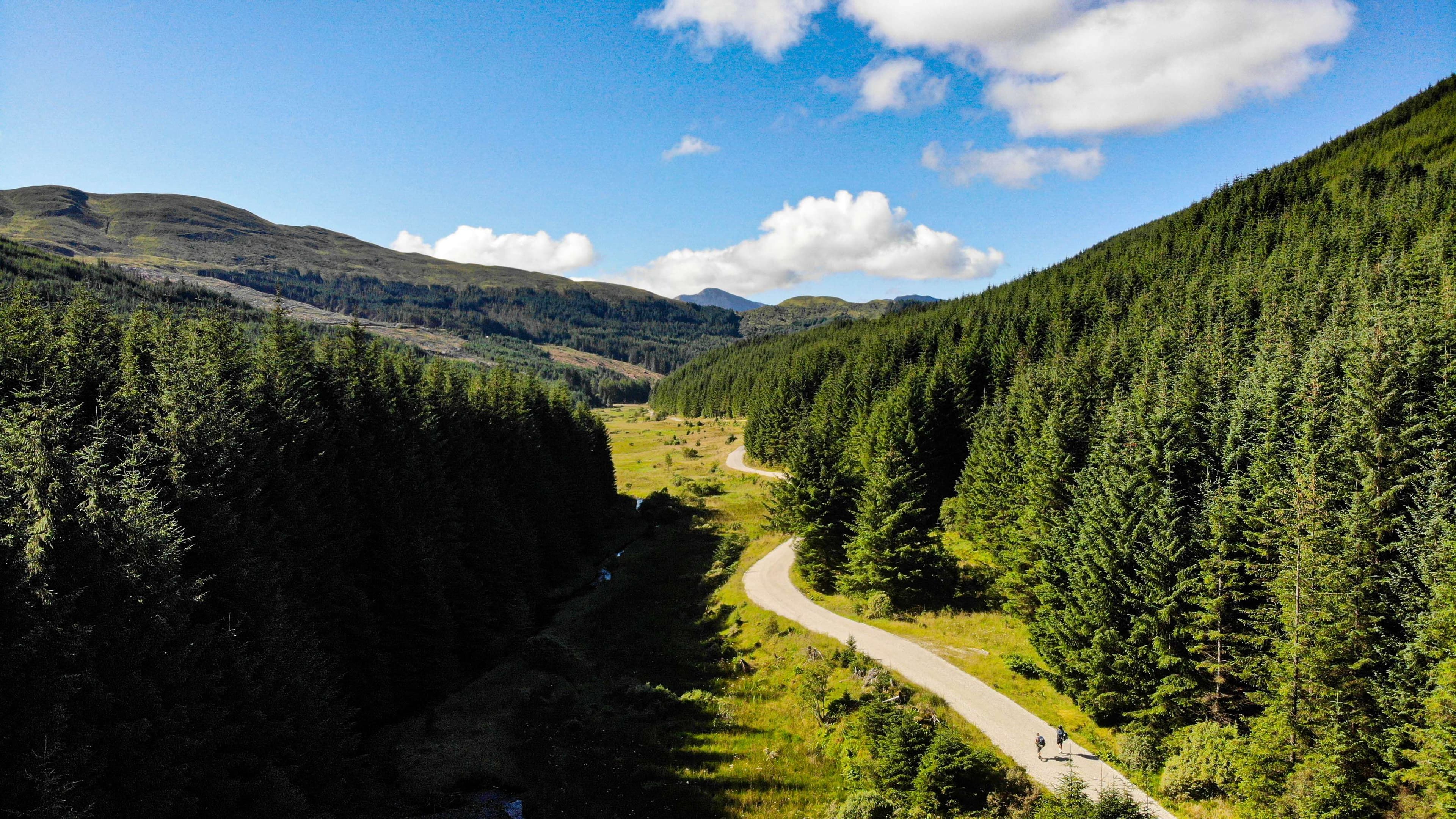 DescriptionComingSoon