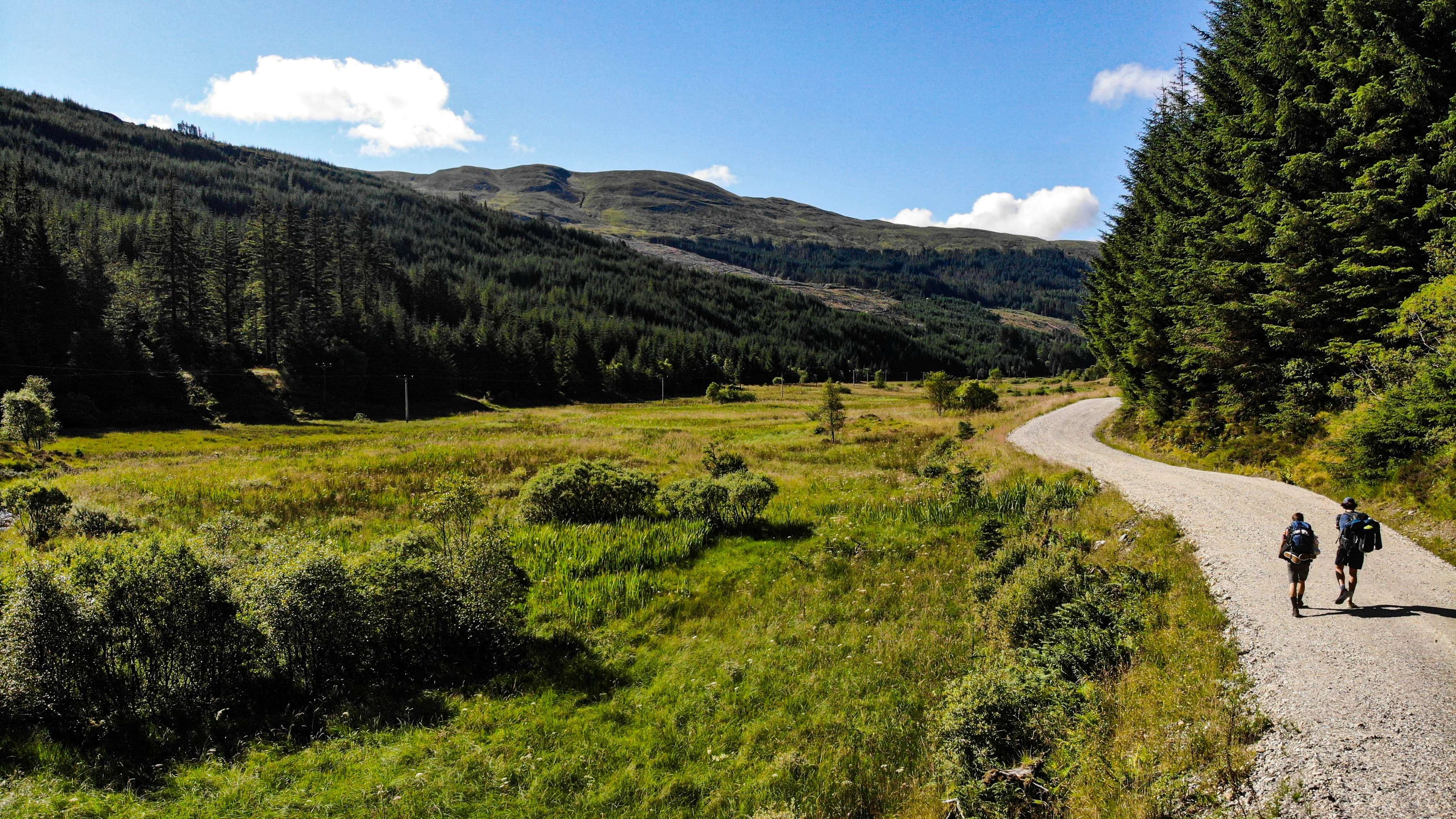 DescriptionComingSoon