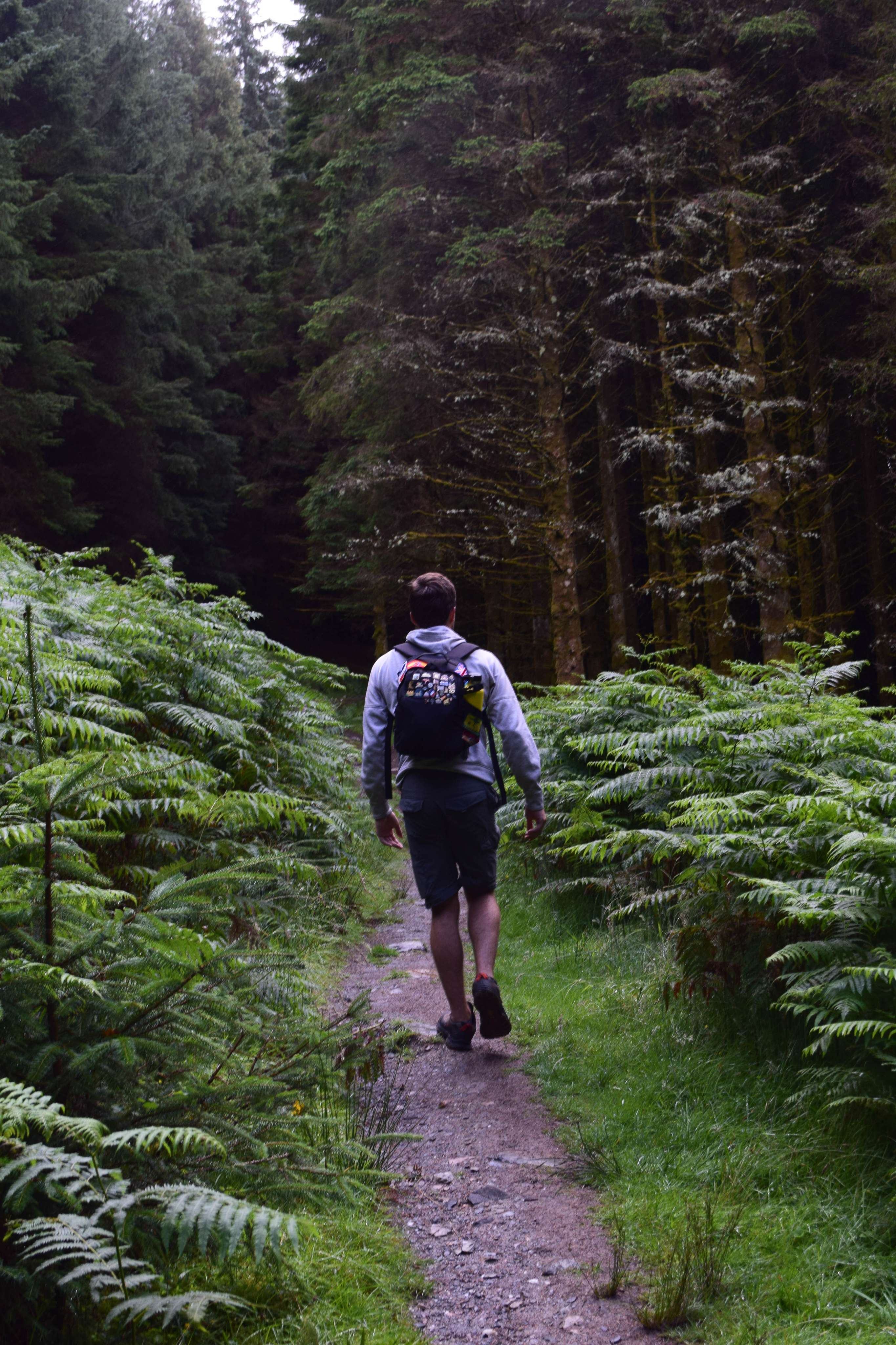 DescriptionComingSoon