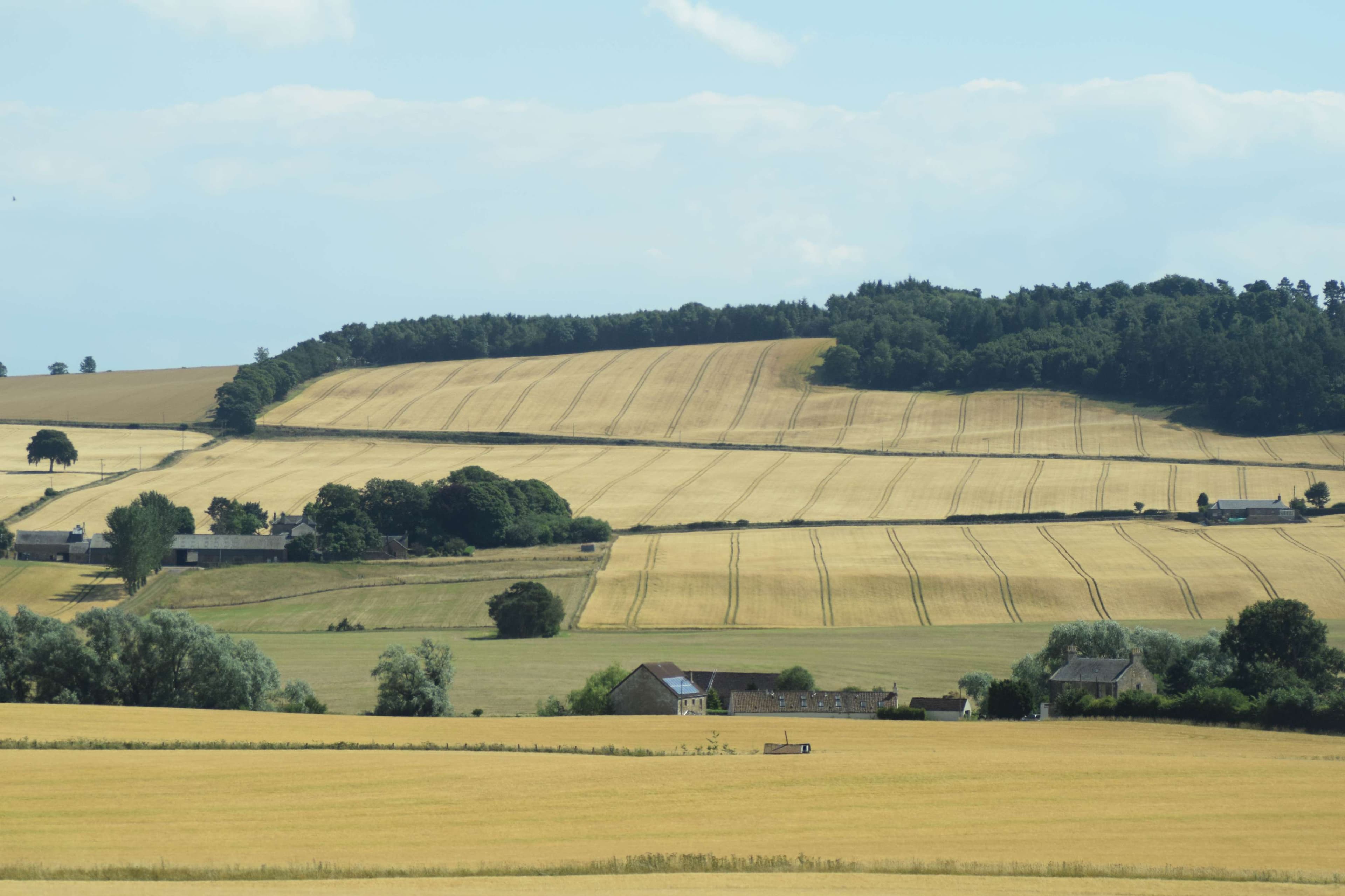 DescriptionComingSoon