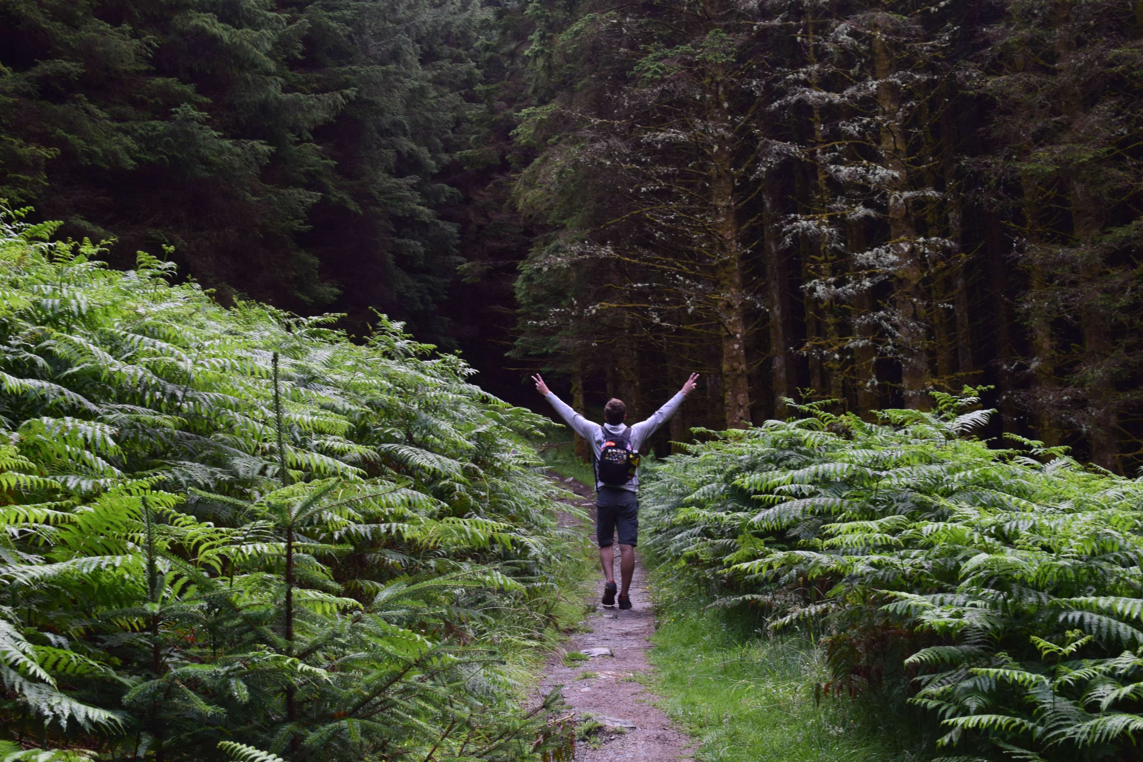 DescriptionComingSoon