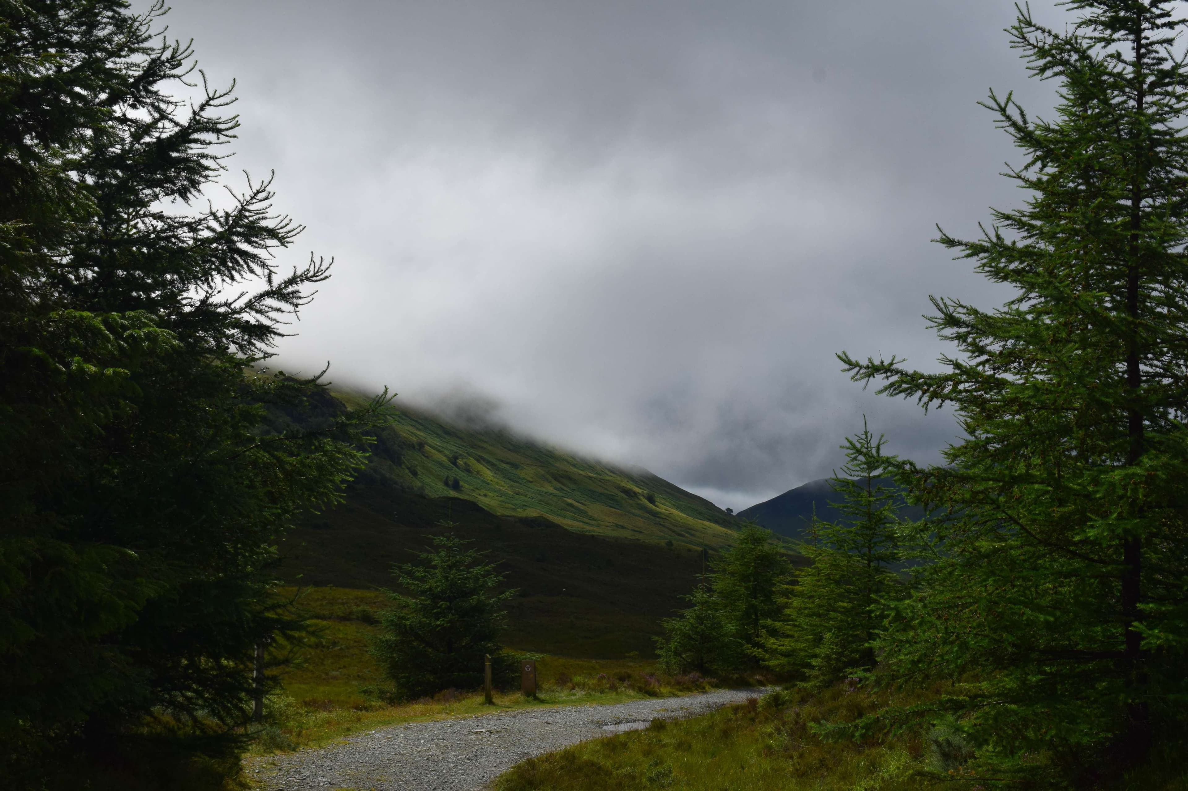 DescriptionComingSoon