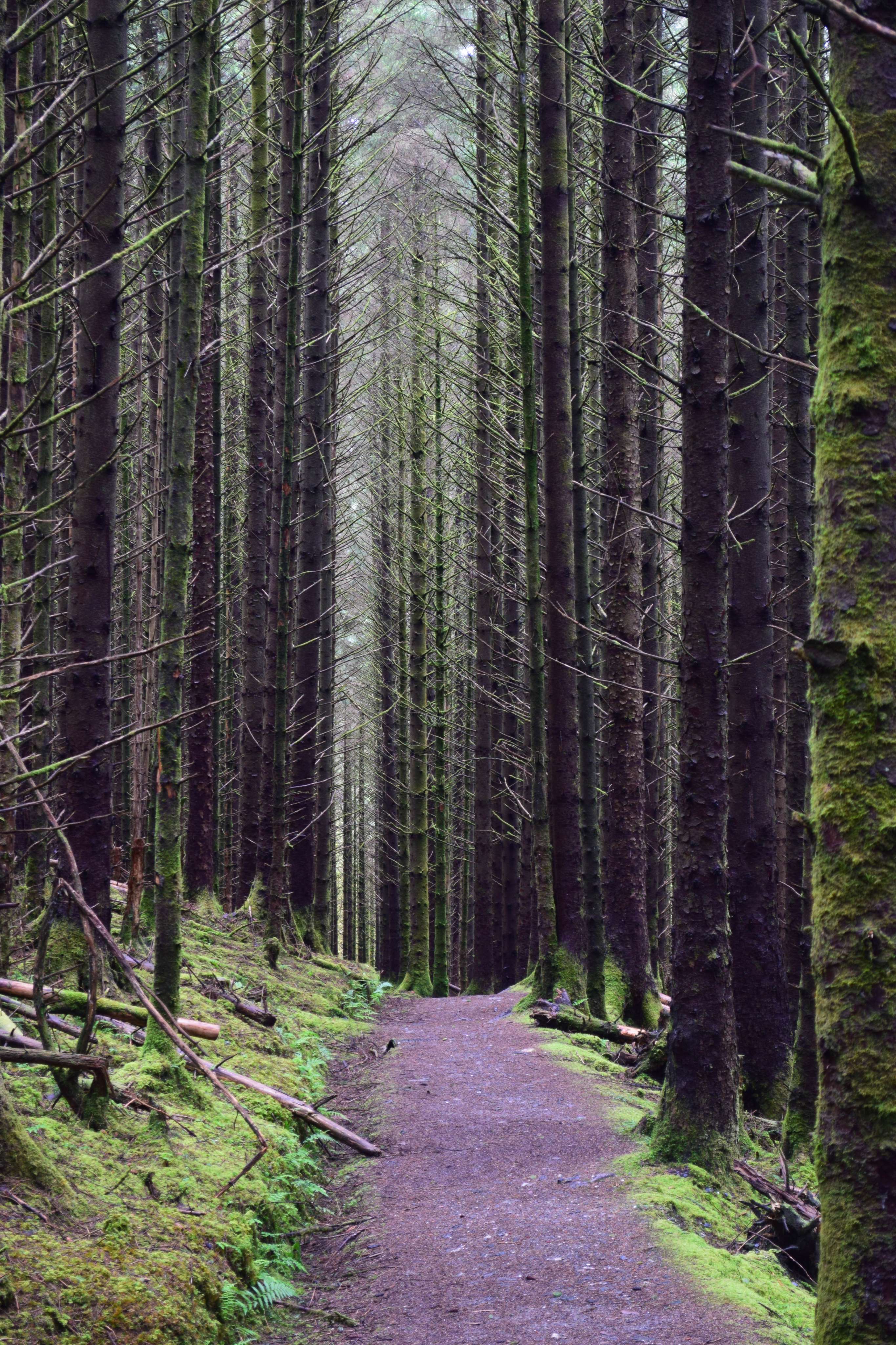 DescriptionComingSoon