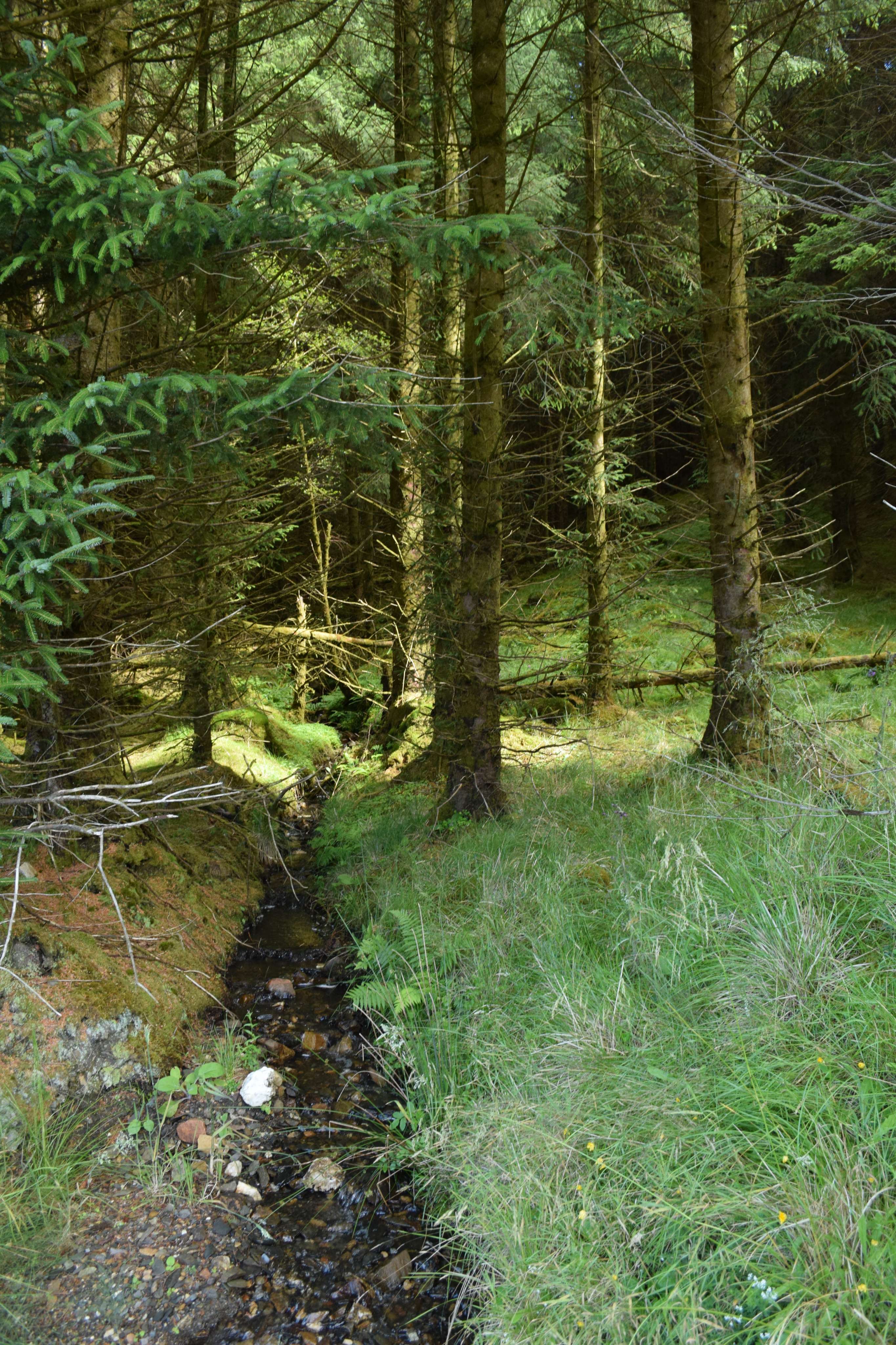 DescriptionComingSoon