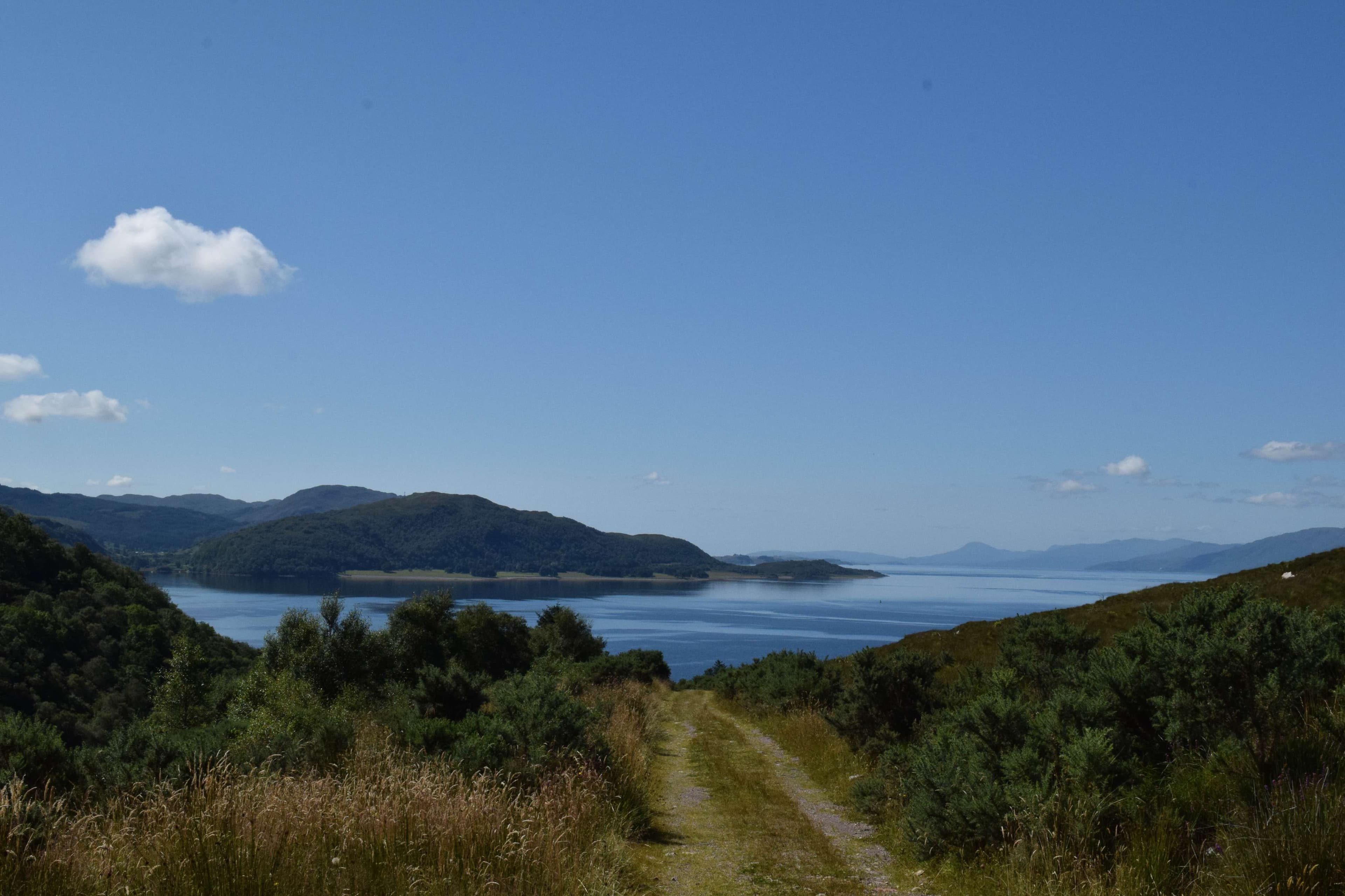 DescriptionComingSoon