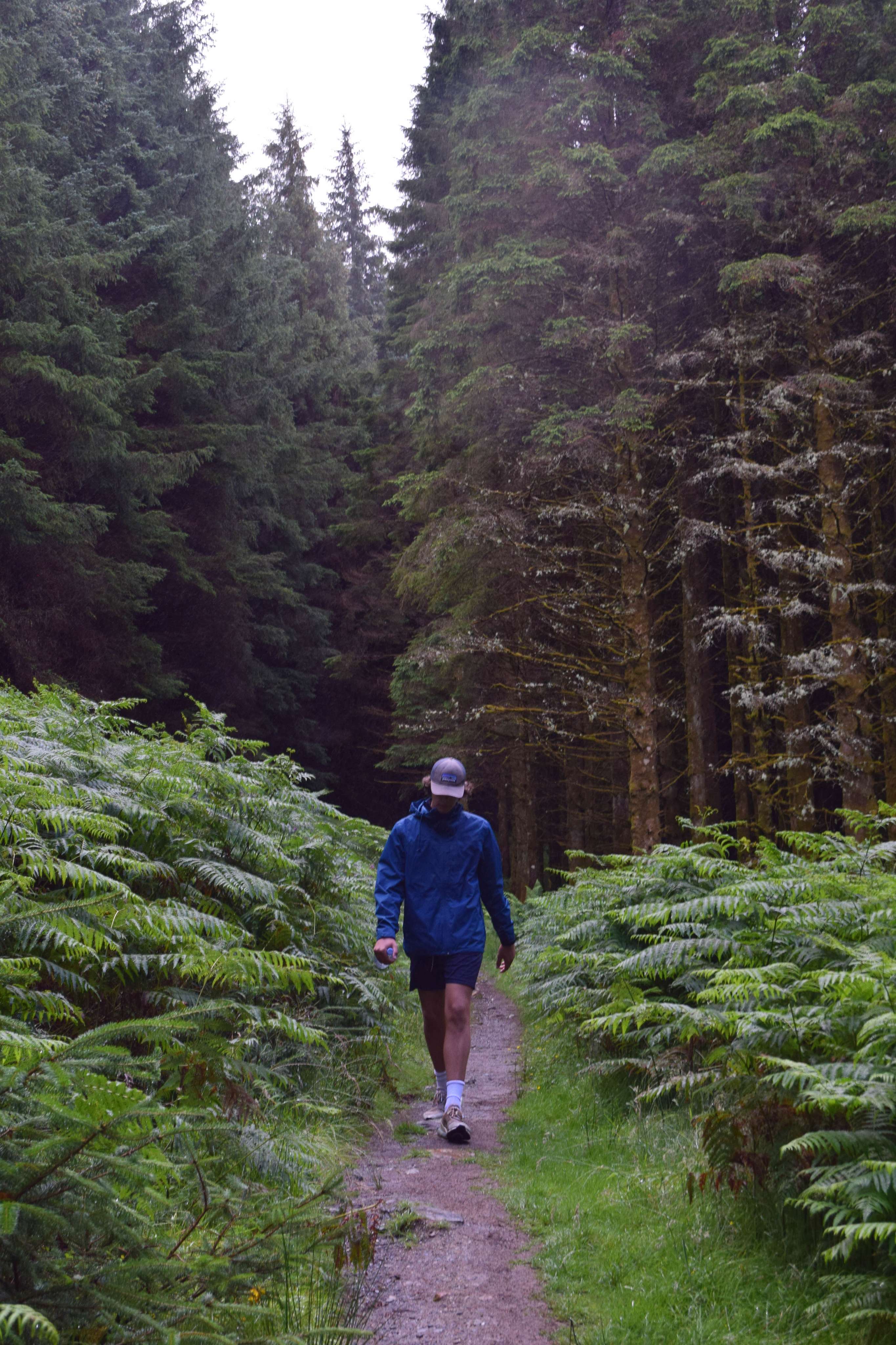 DescriptionComingSoon