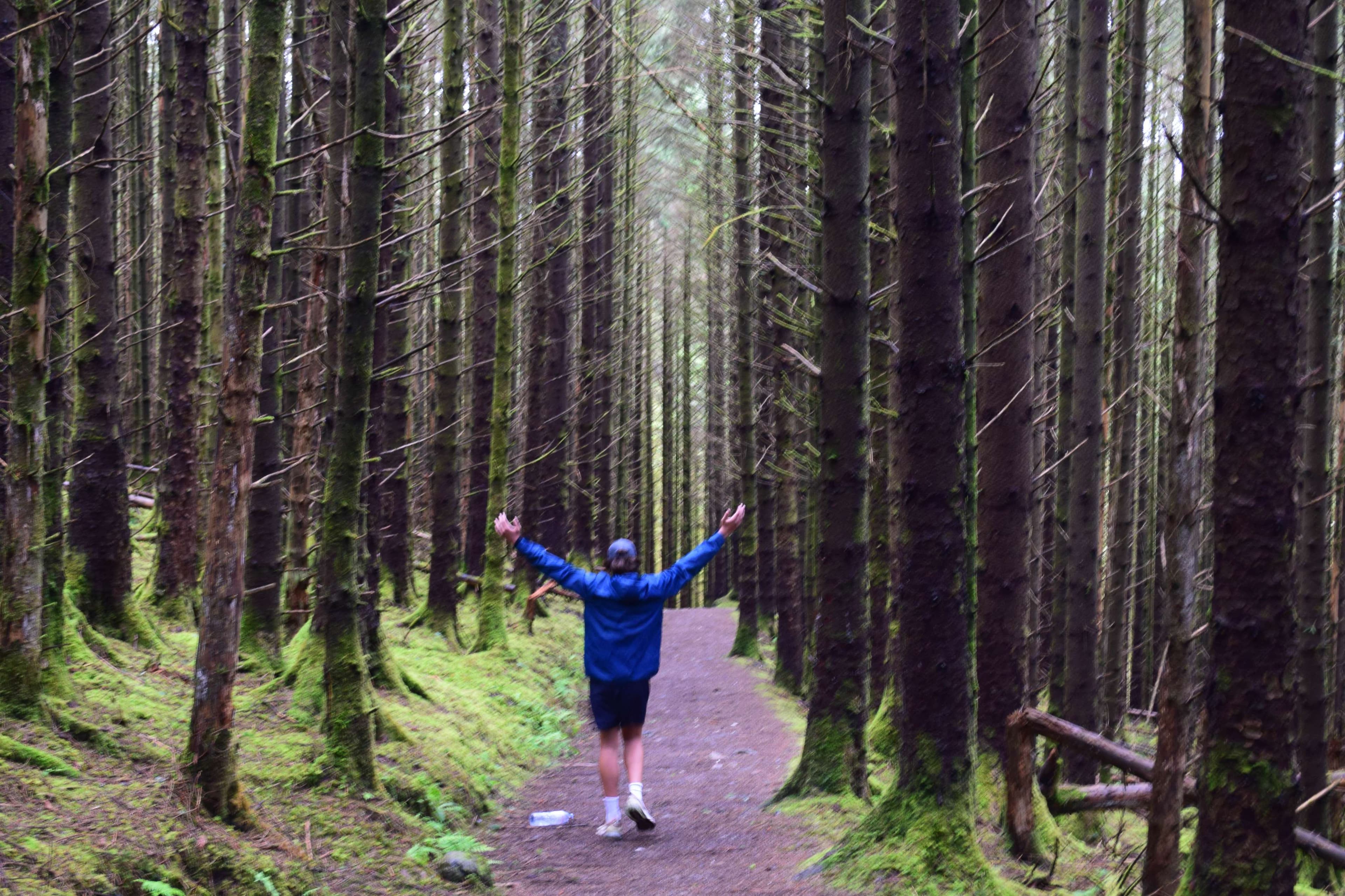 DescriptionComingSoon