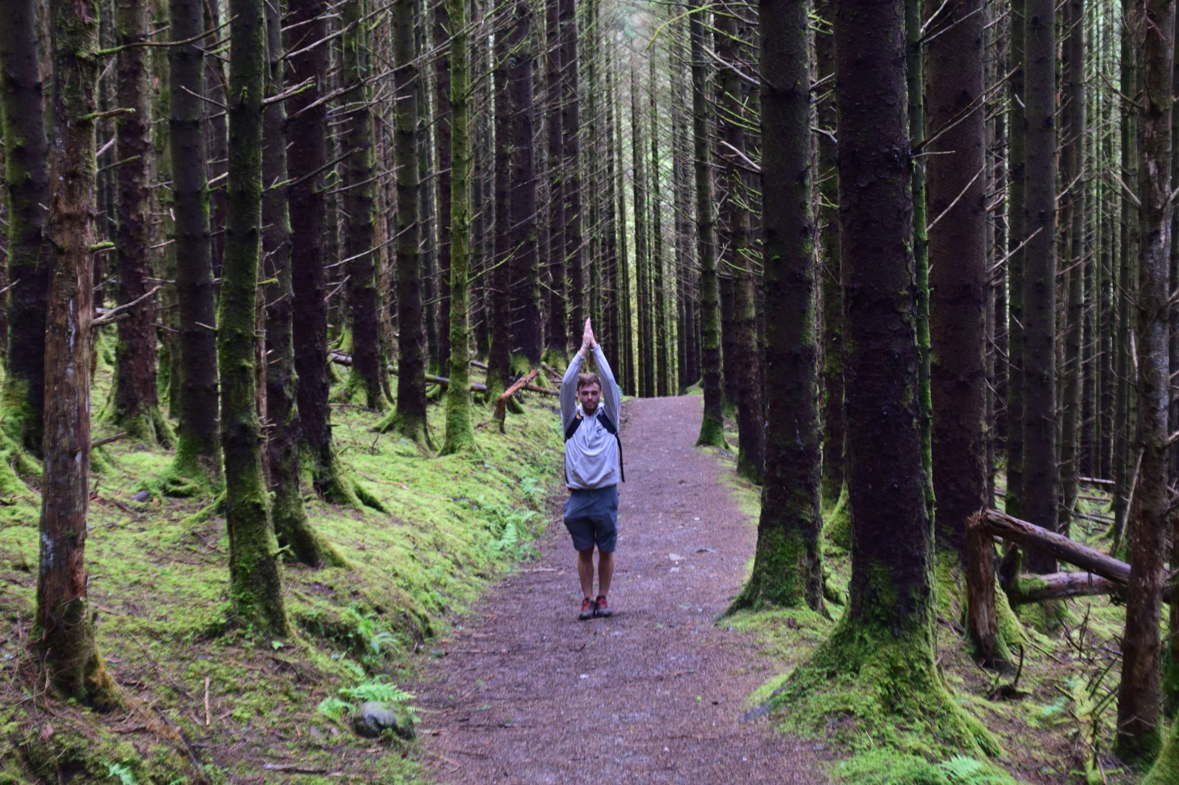 DescriptionComingSoon