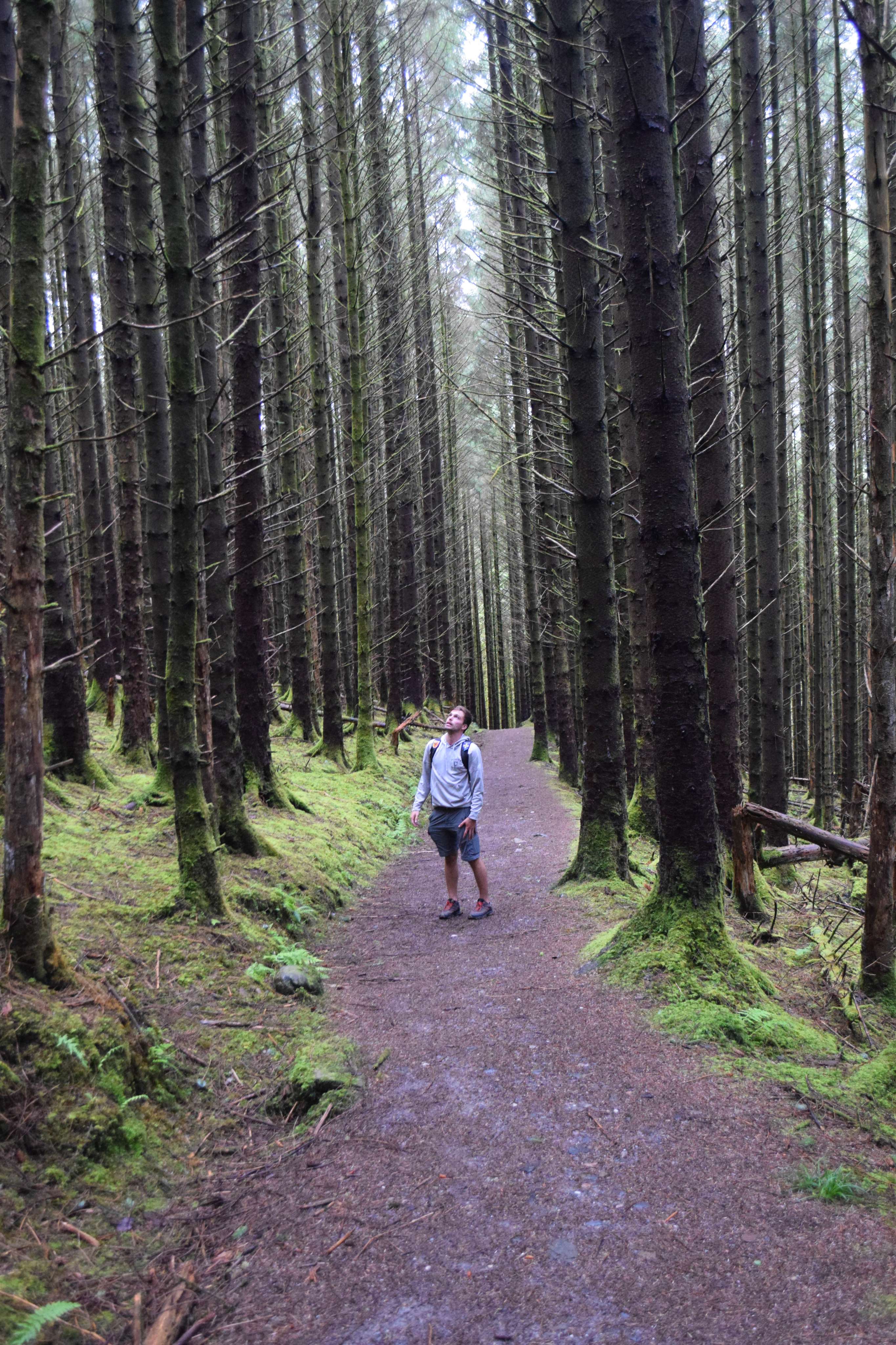 DescriptionComingSoon