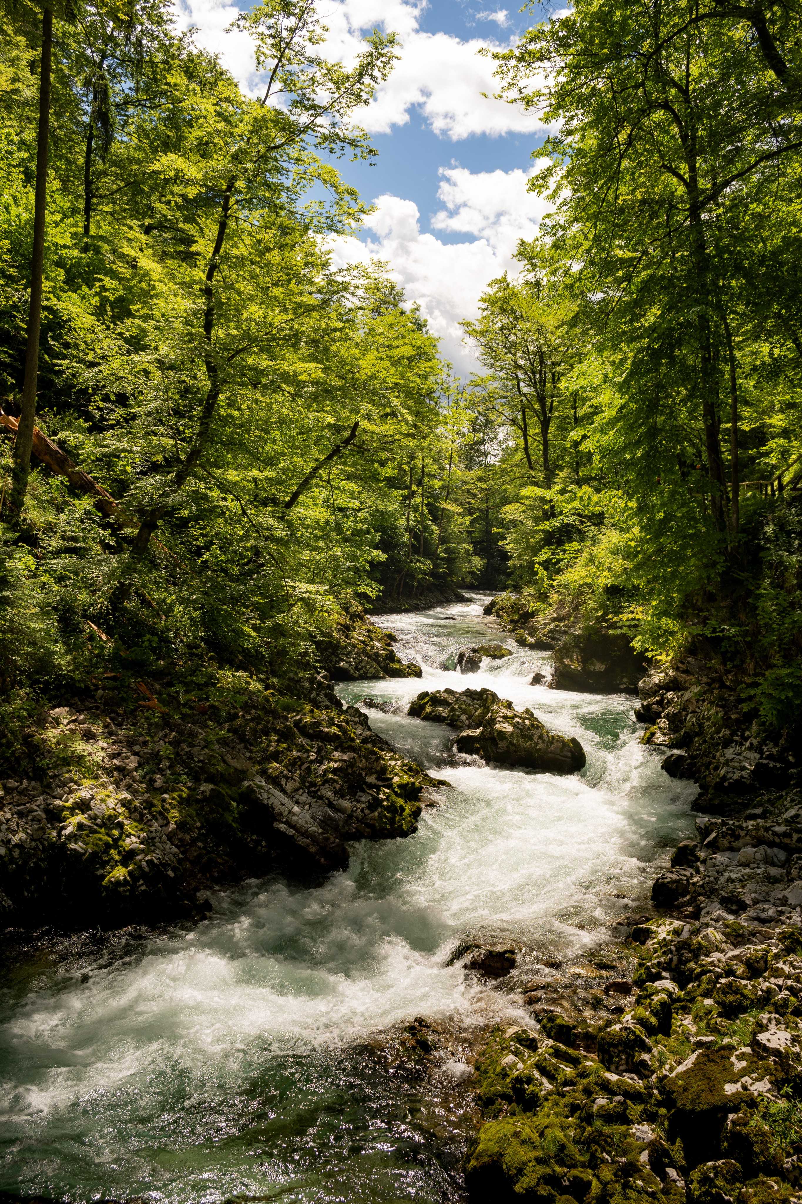 DescriptionComingSoon