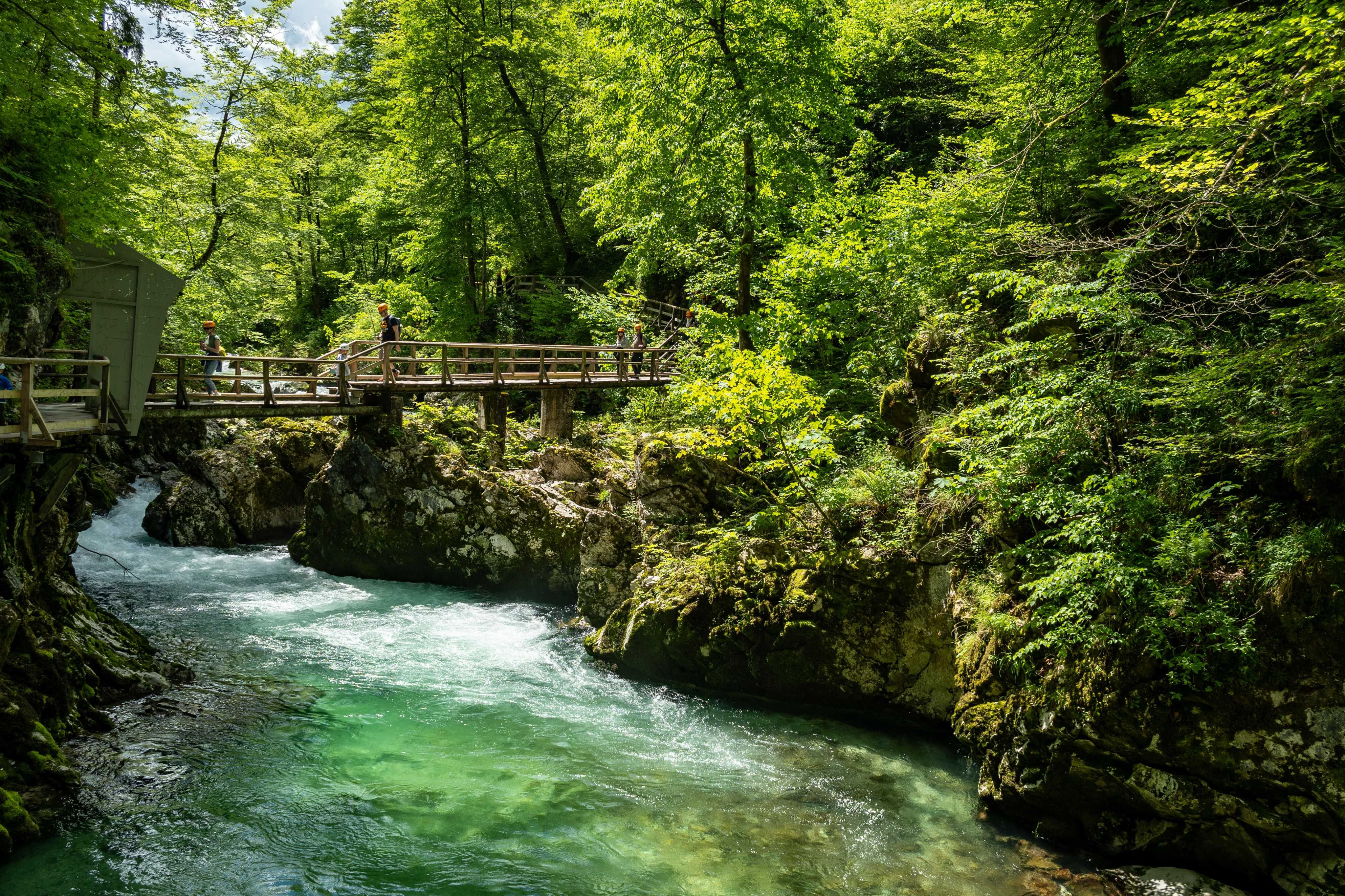 DescriptionComingSoon