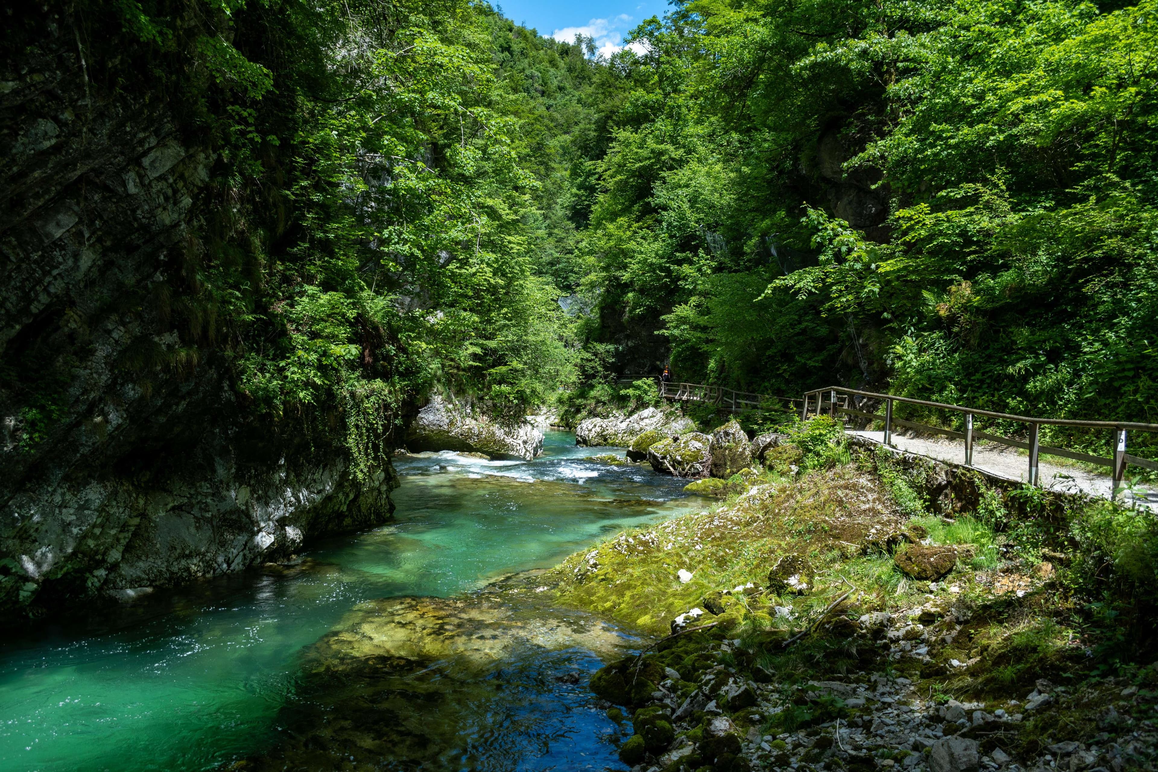 DescriptionComingSoon