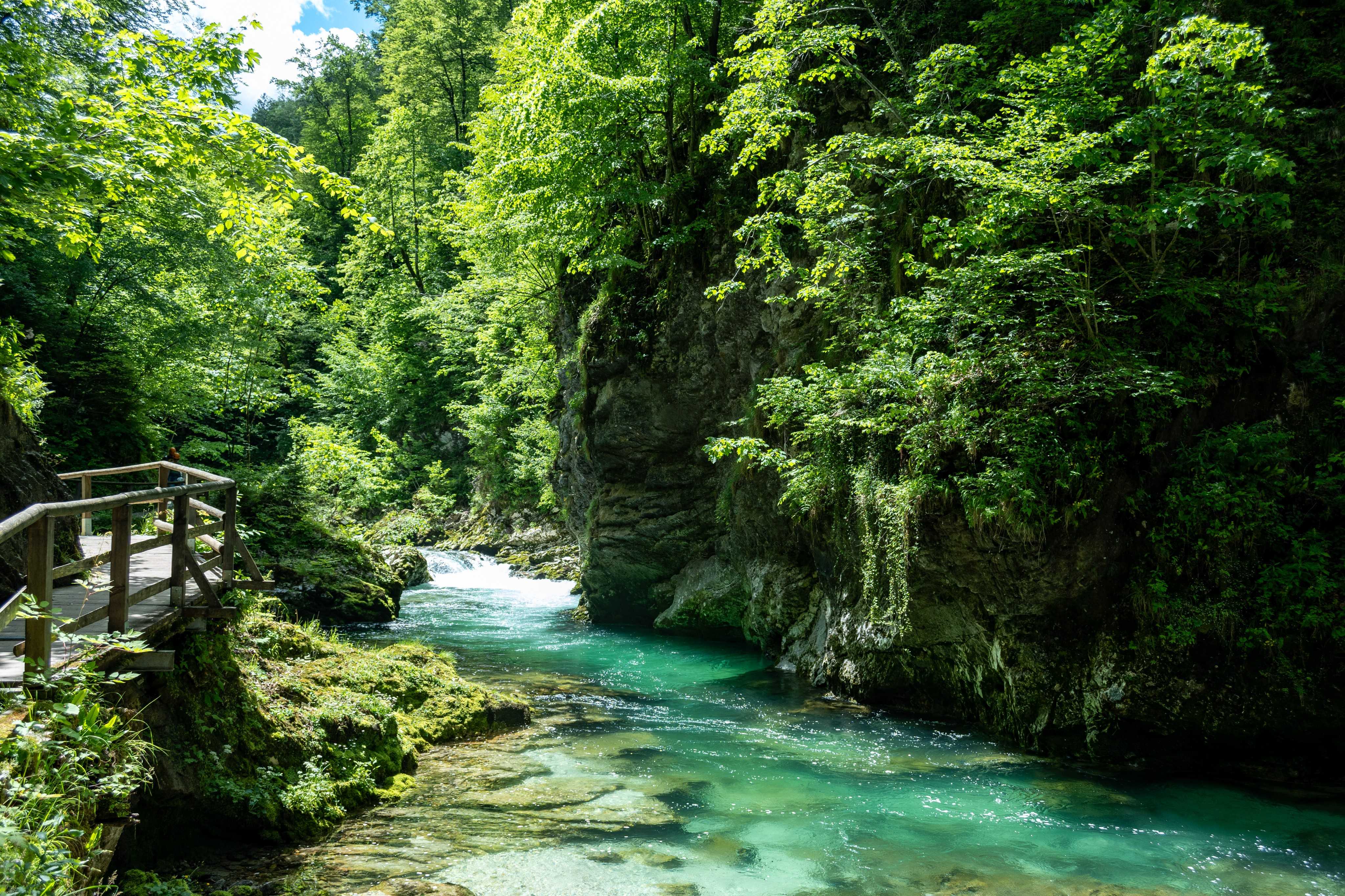 DescriptionComingSoon