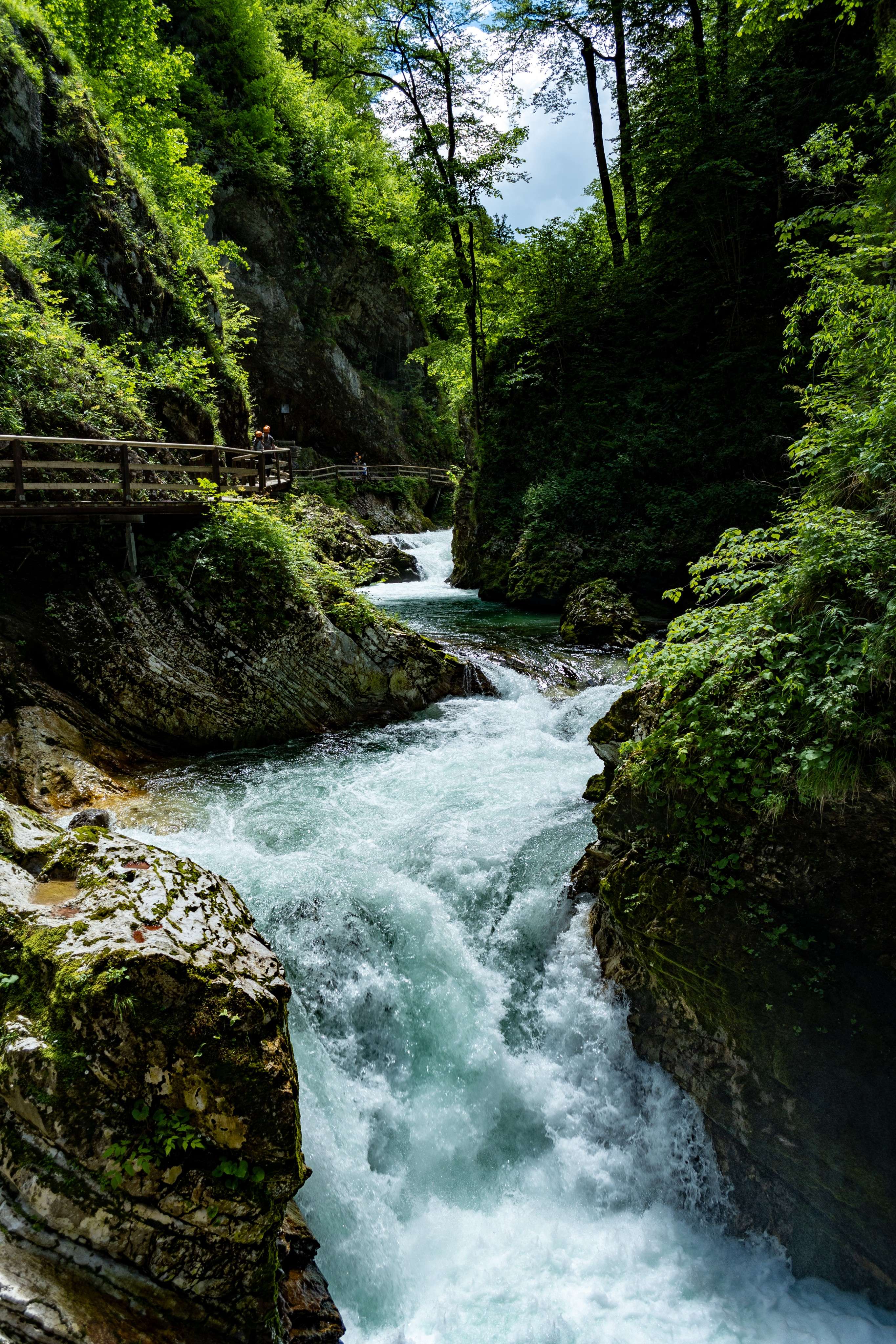 DescriptionComingSoon