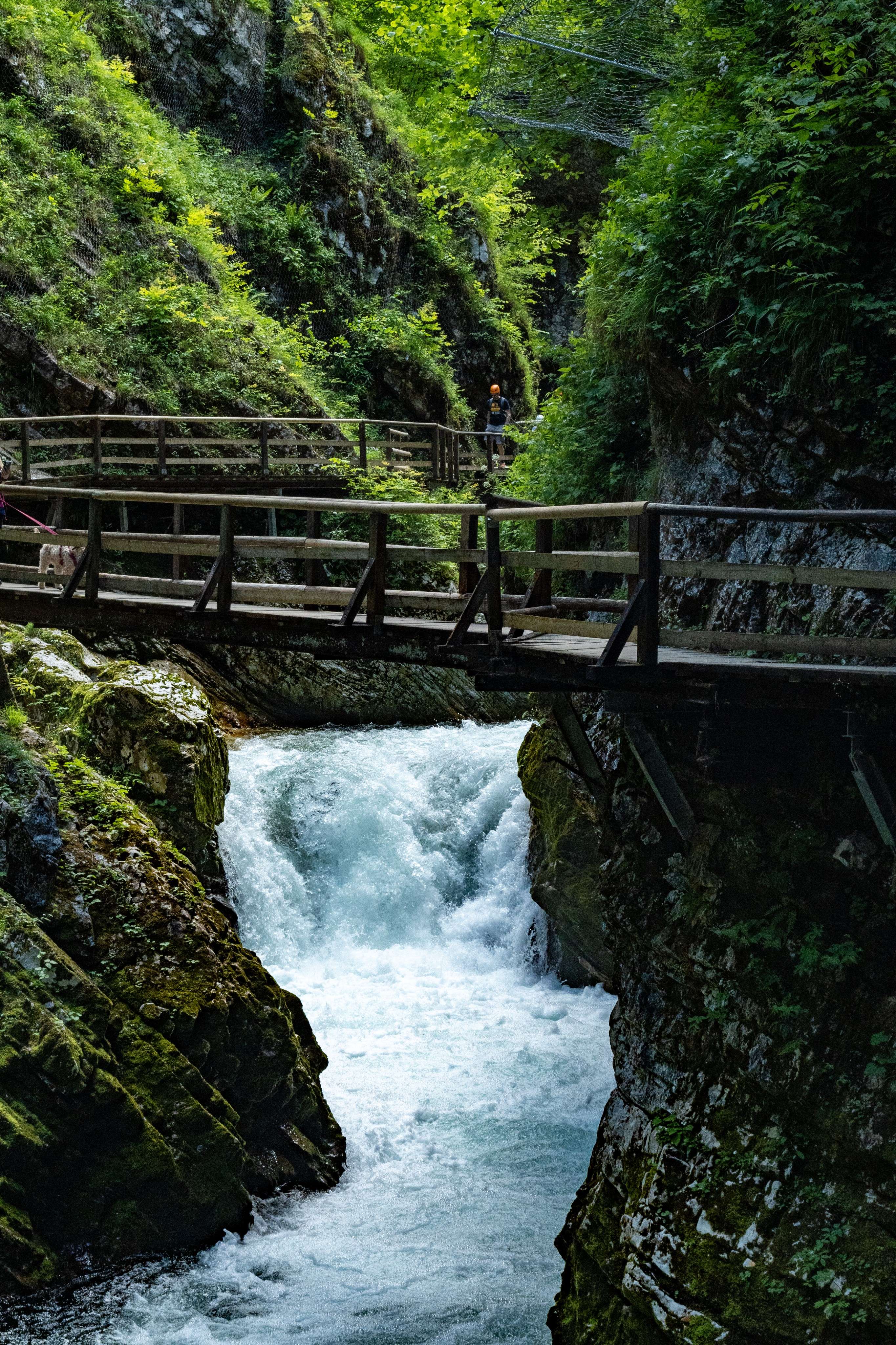 DescriptionComingSoon