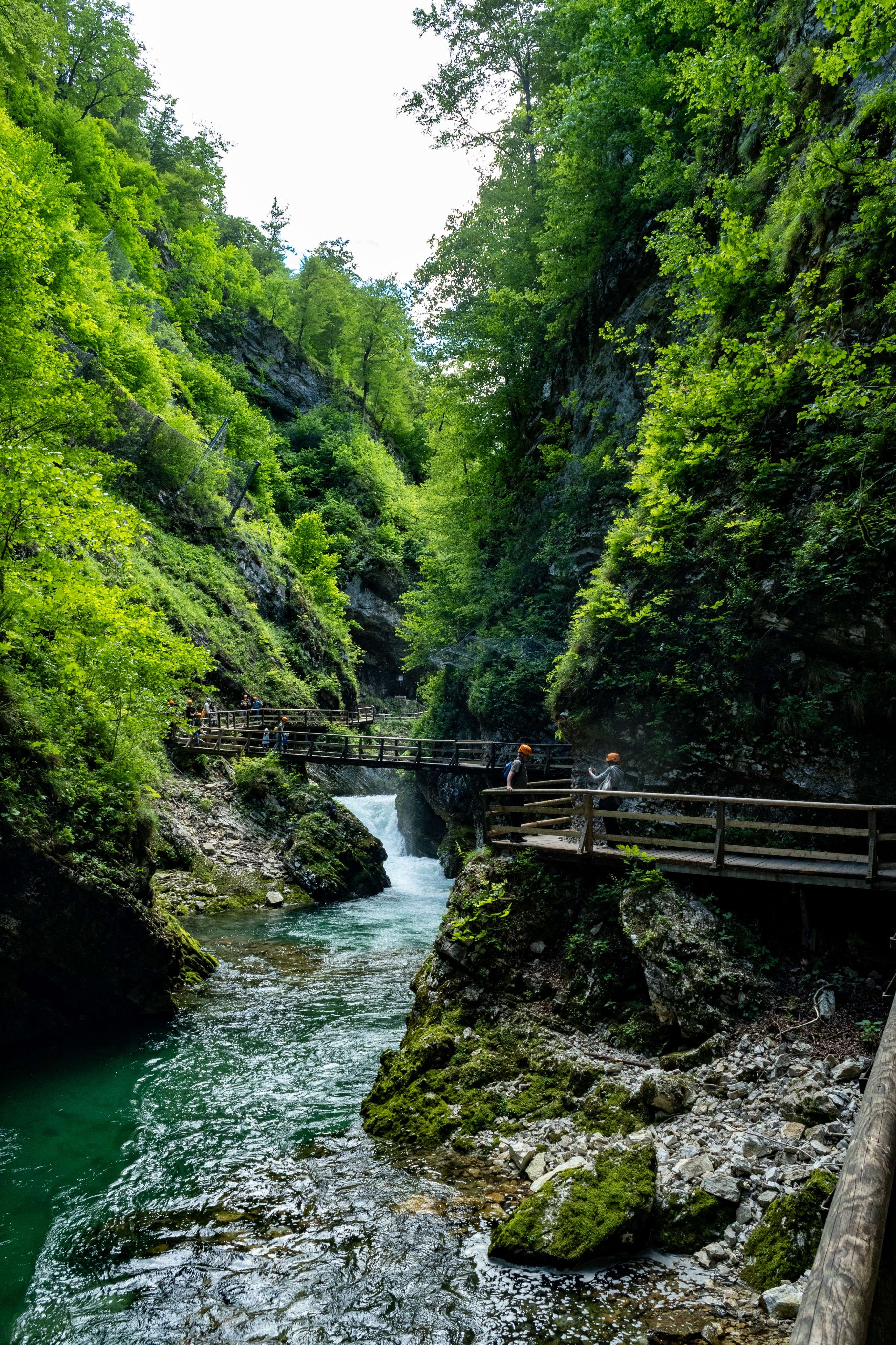 DescriptionComingSoon