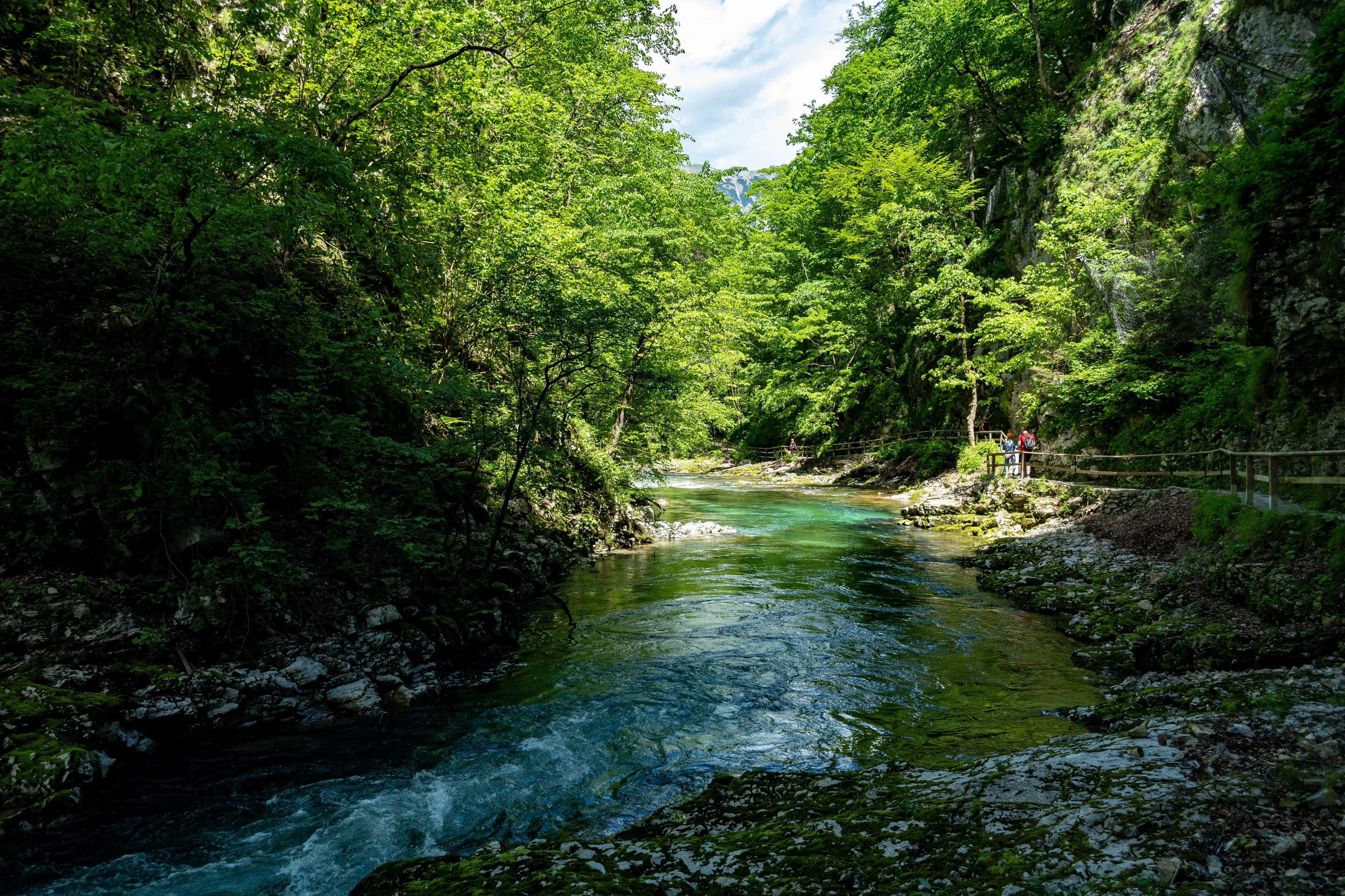 DescriptionComingSoon