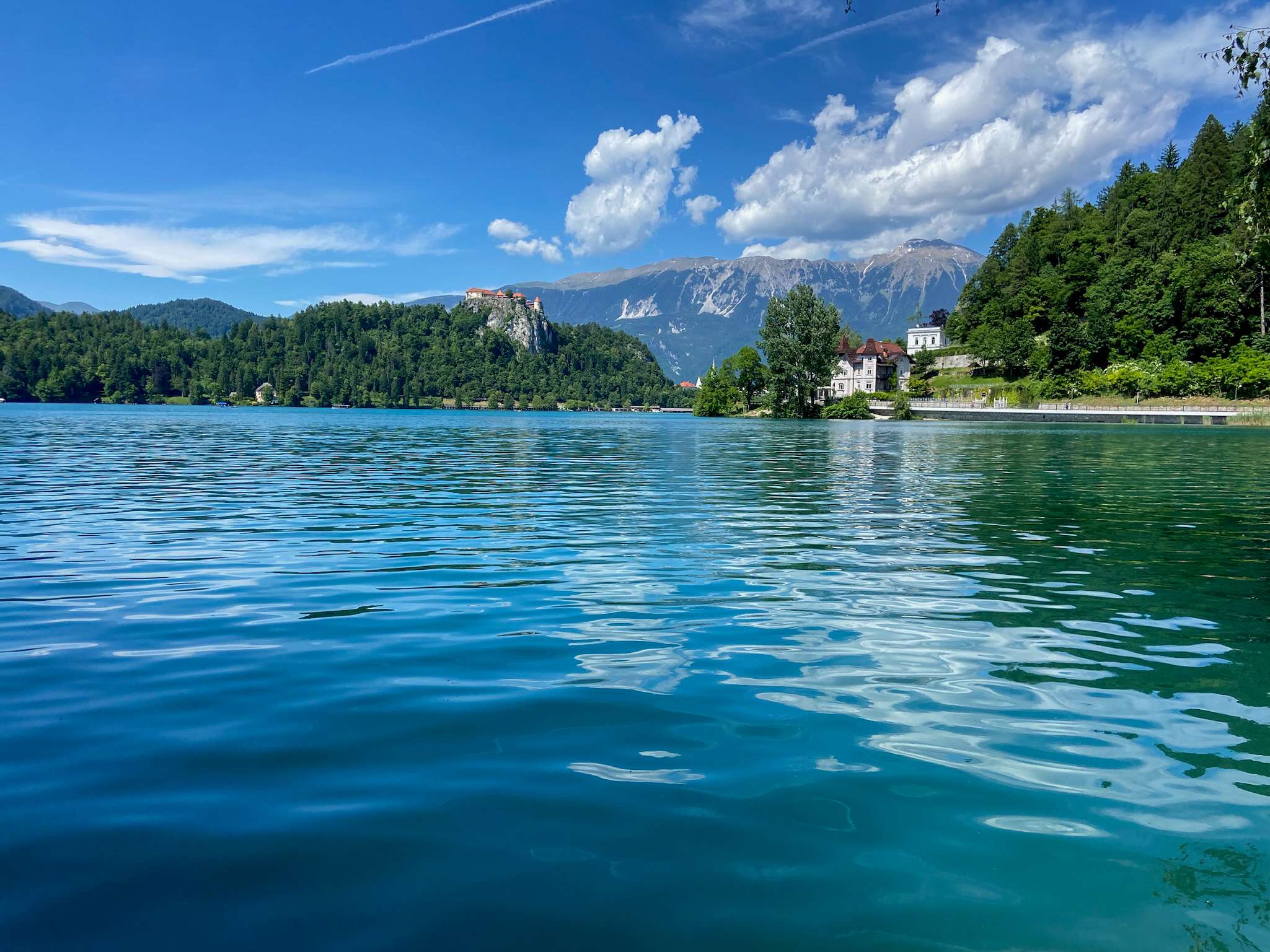 DescriptionComingSoon