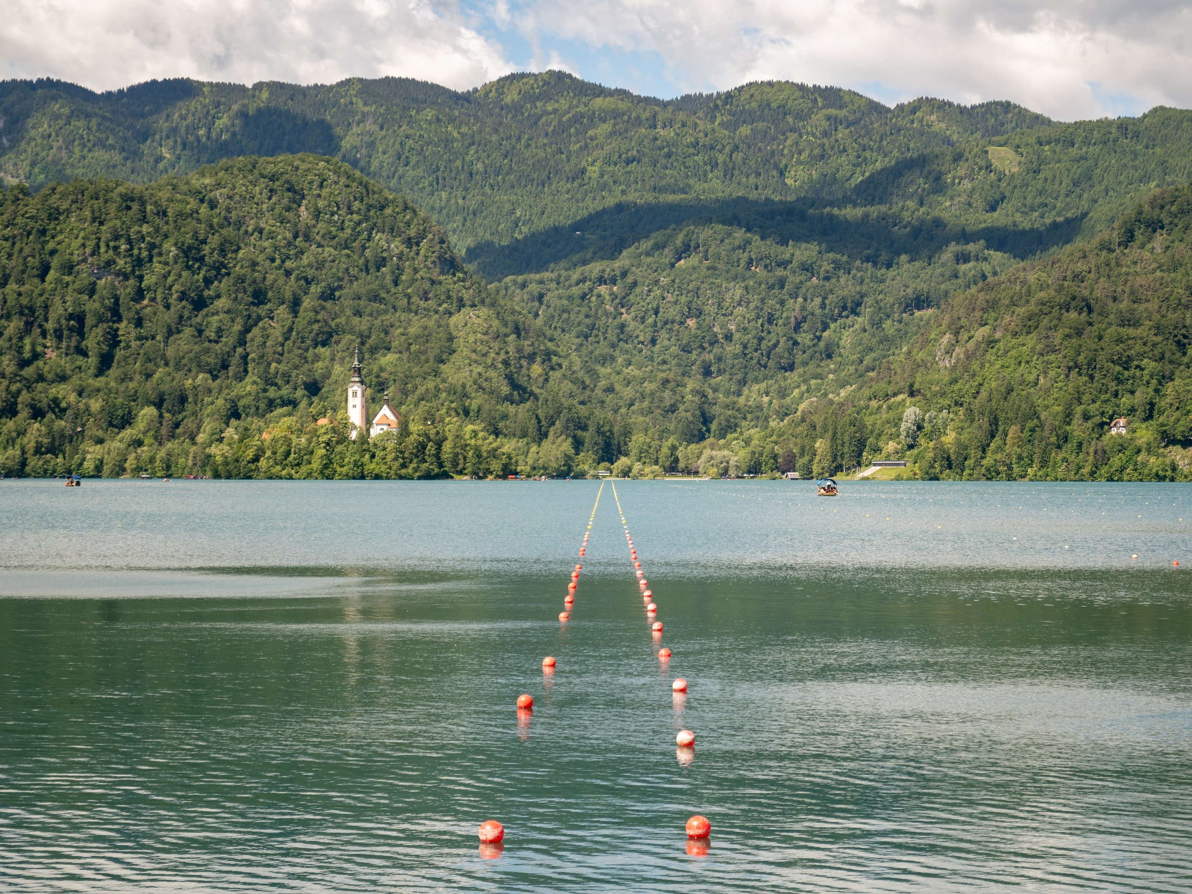 DescriptionComingSoon