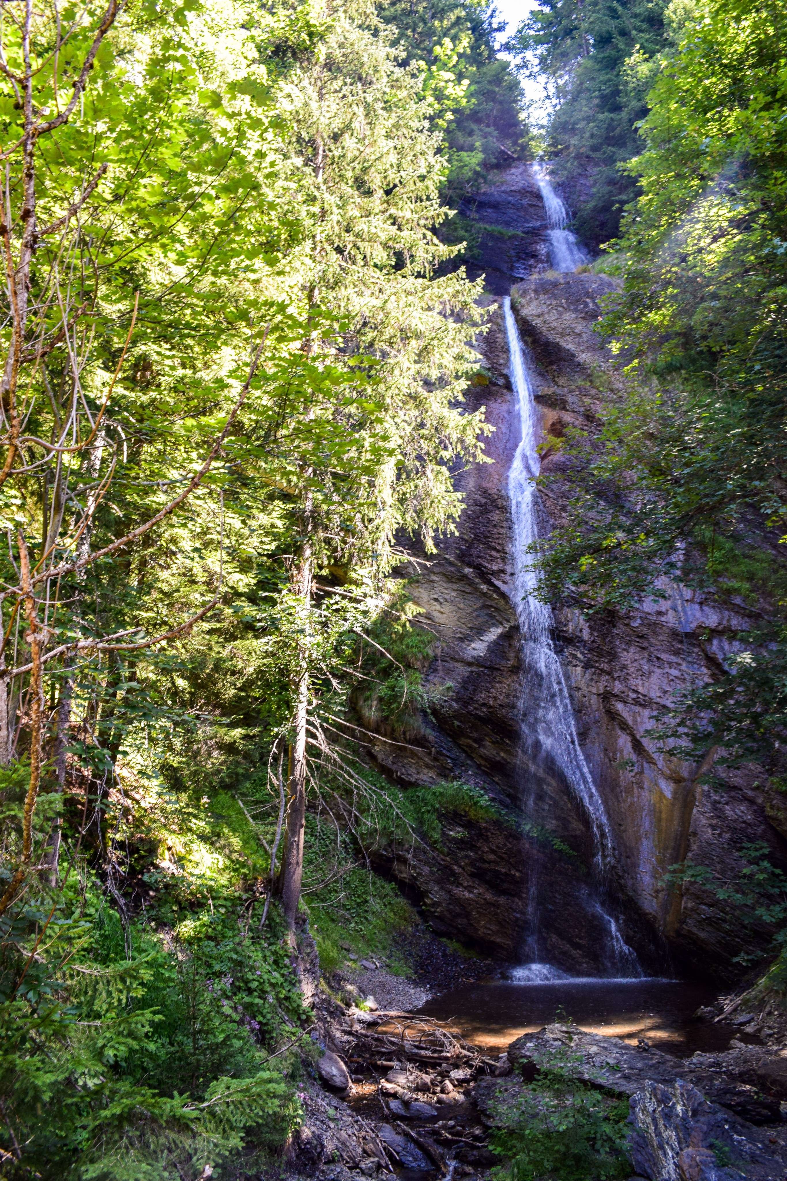 DescriptionComingSoon