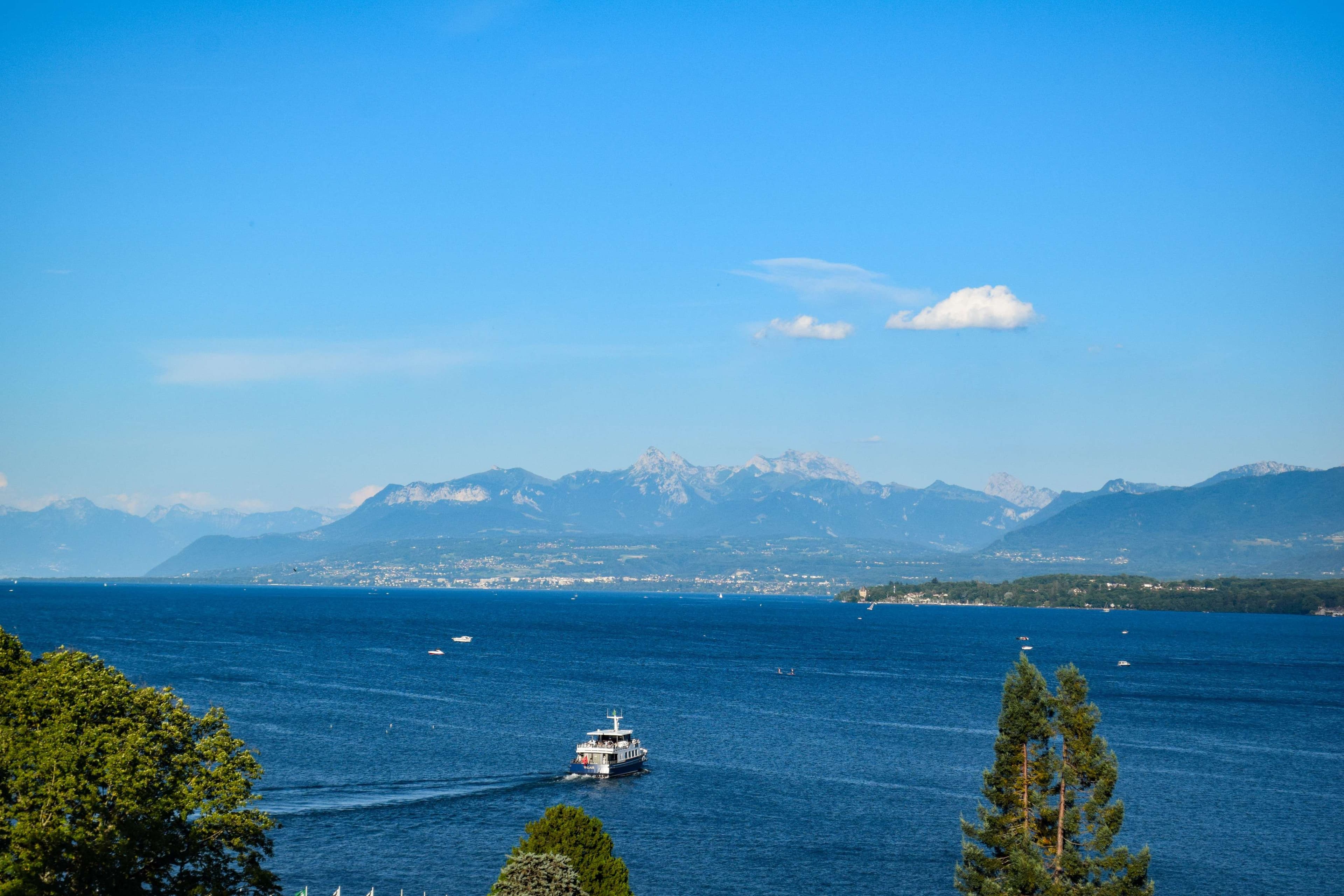 DescriptionComingSoon