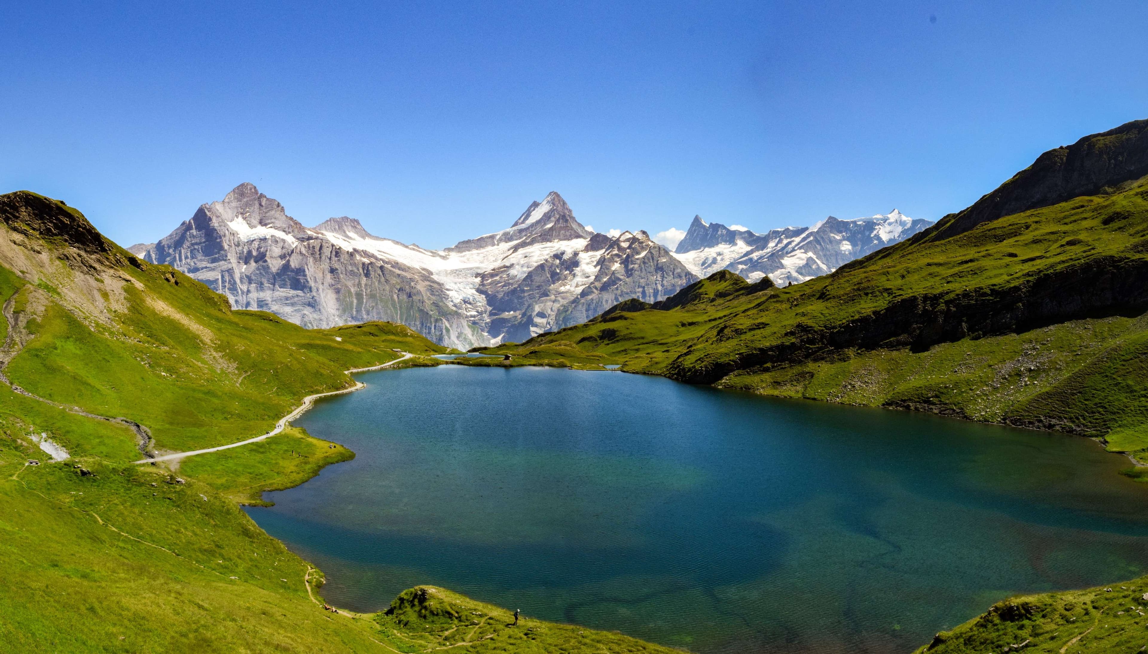 DescriptionComingSoon