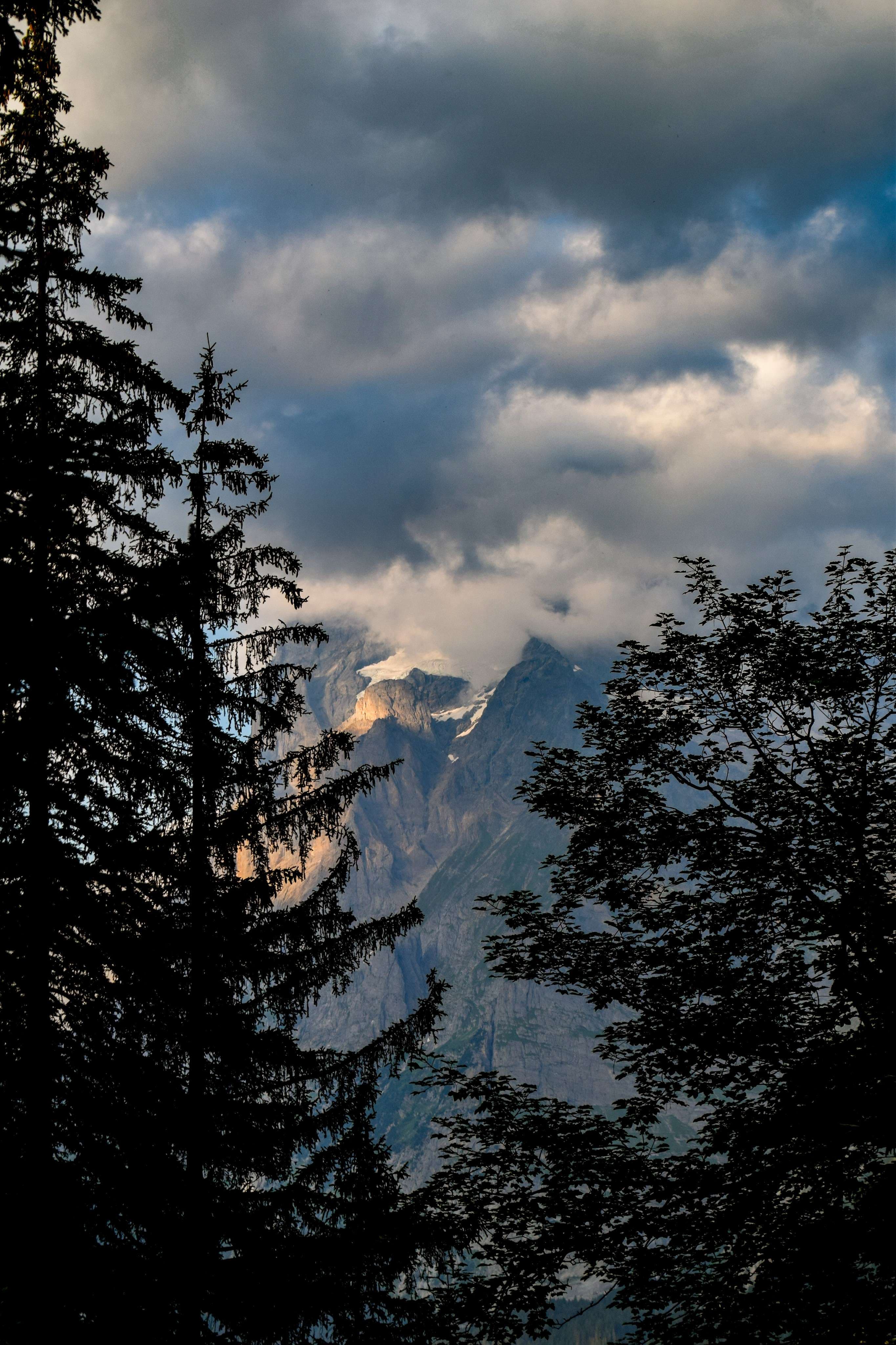 DescriptionComingSoon