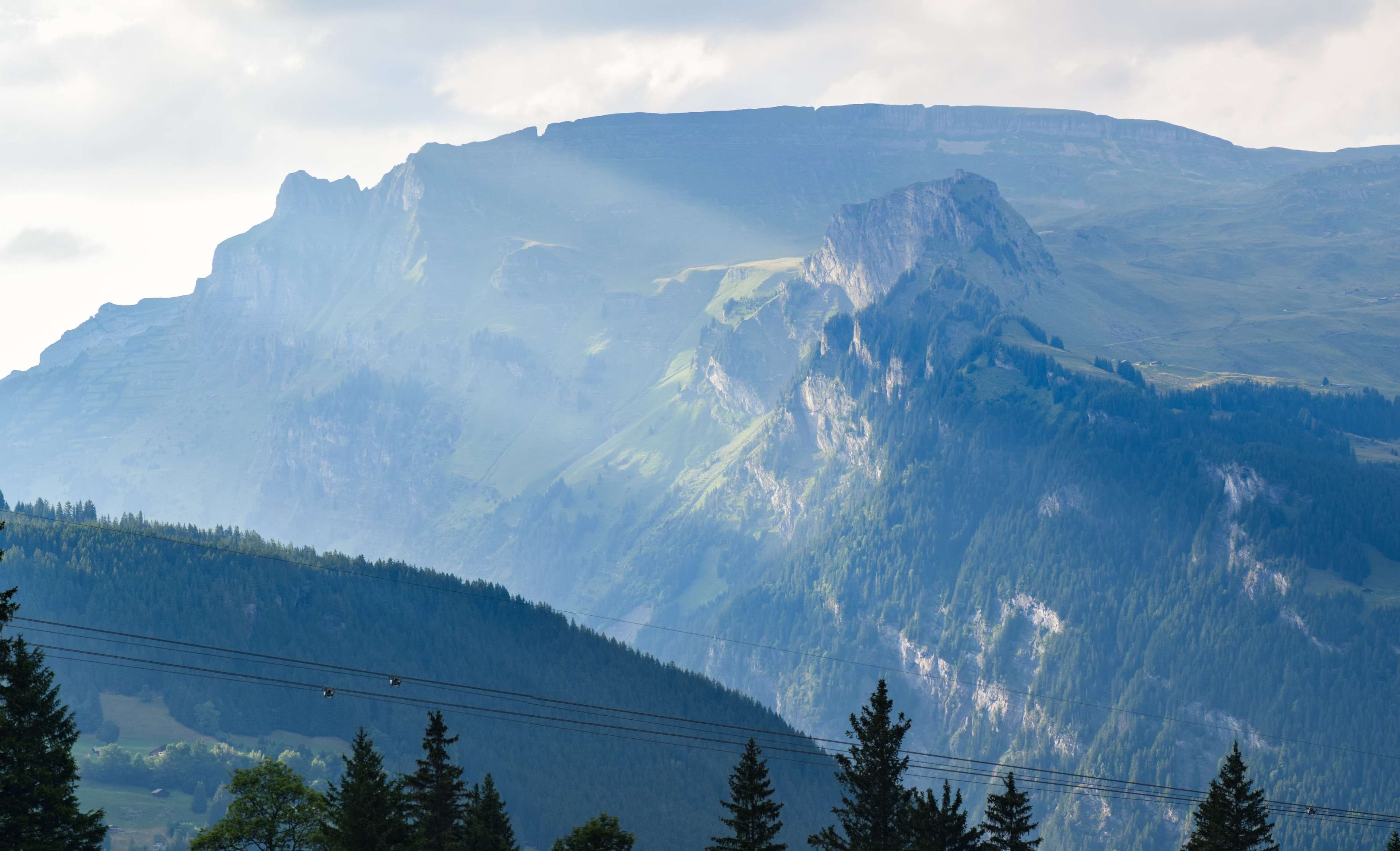 DescriptionComingSoon