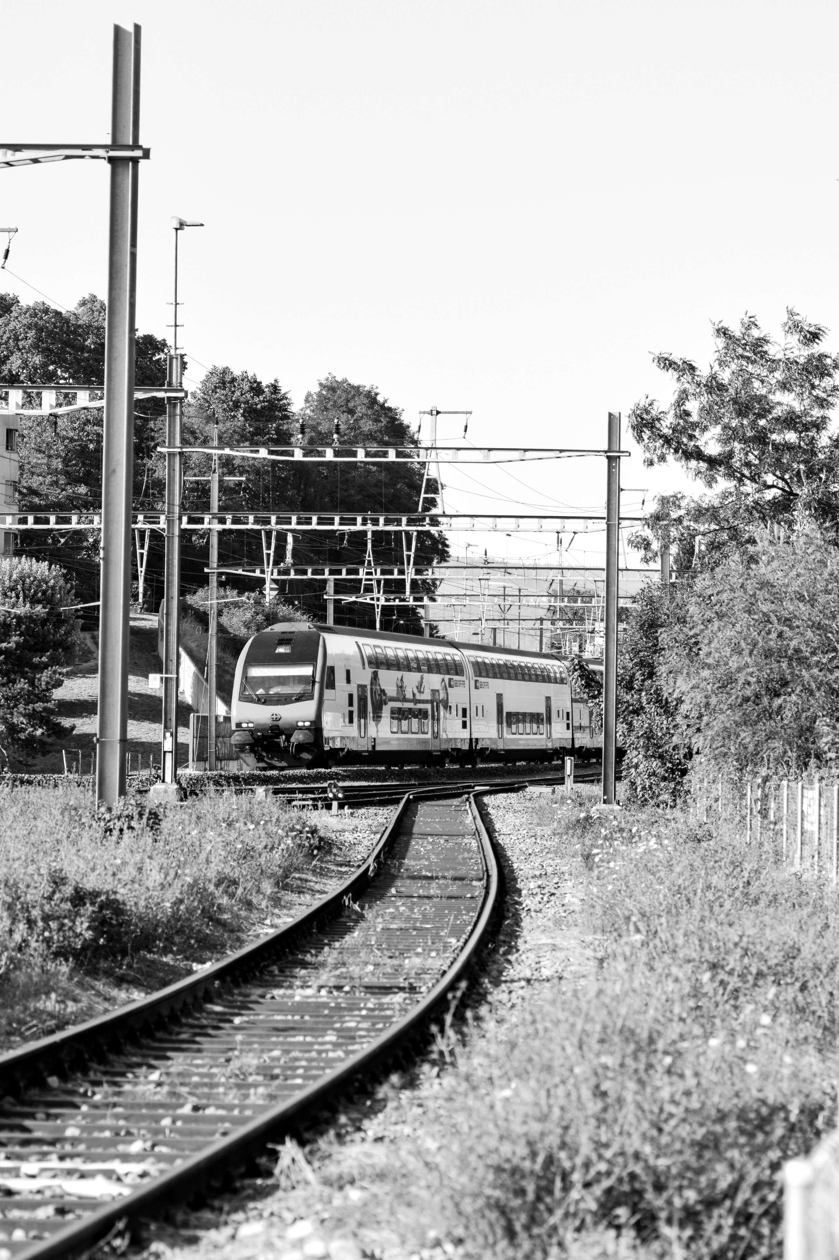 DescriptionComingSoon