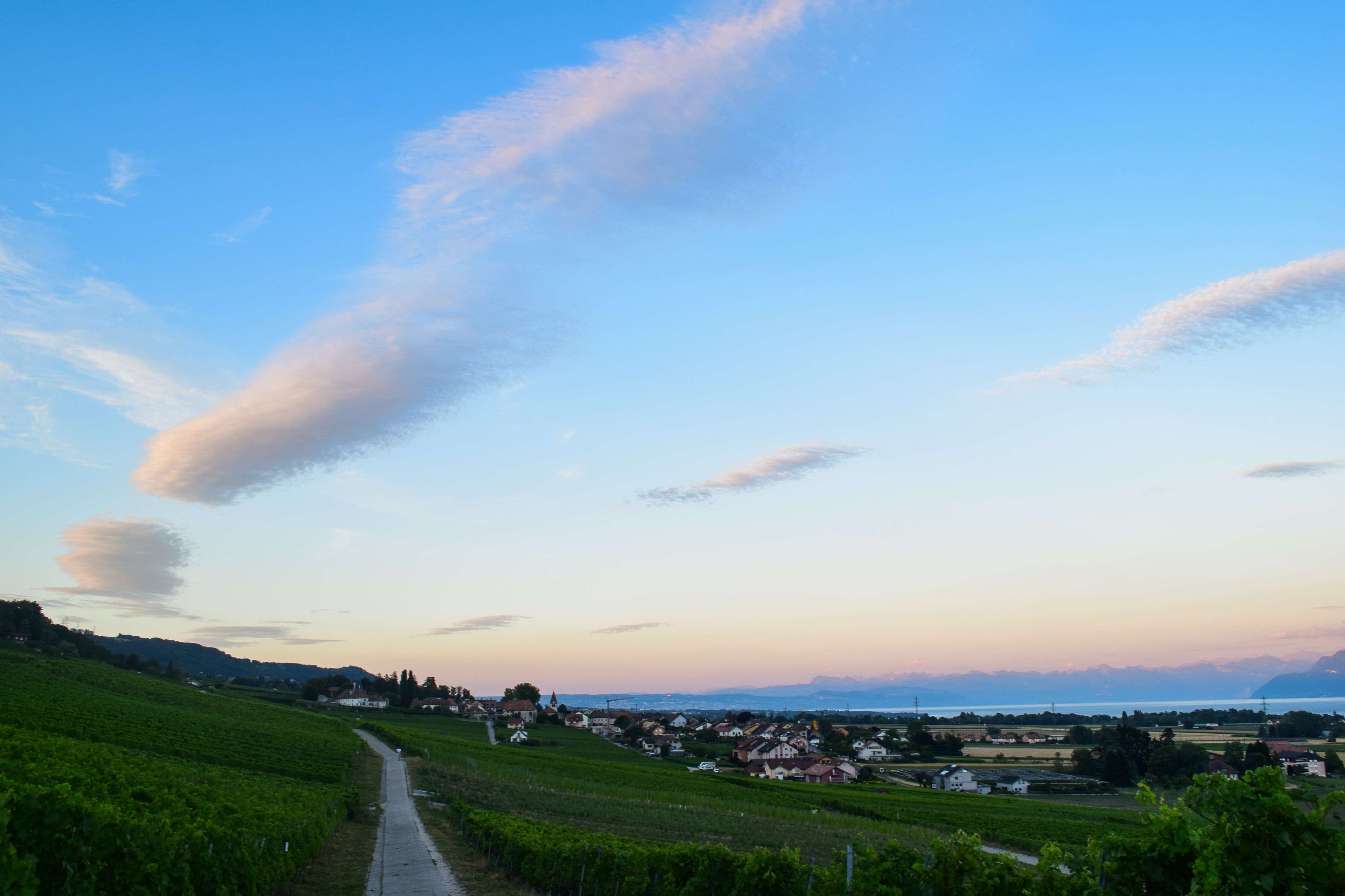 DescriptionComingSoon