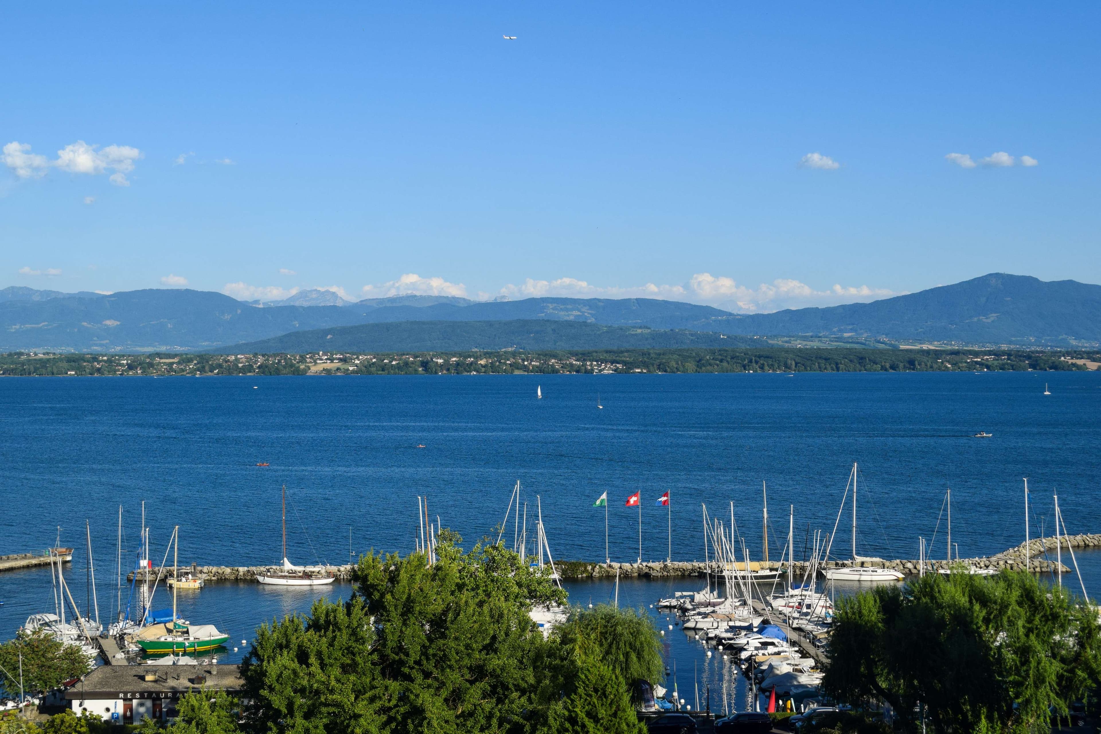 DescriptionComingSoon